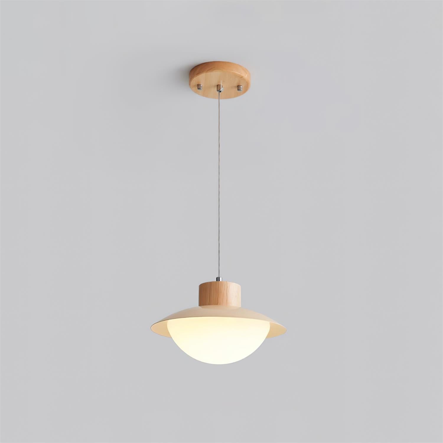 Pendant Lamp and Wood PE Shade Dome Shape Minimalist - Letslighting
