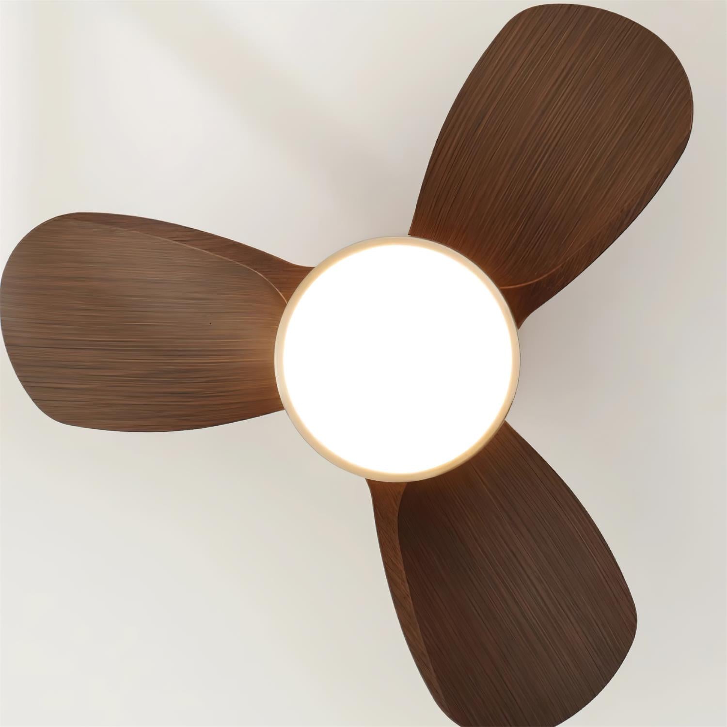 Plafonnier Ventilateur Ventra Moderne en Bois, schéma des dimensions