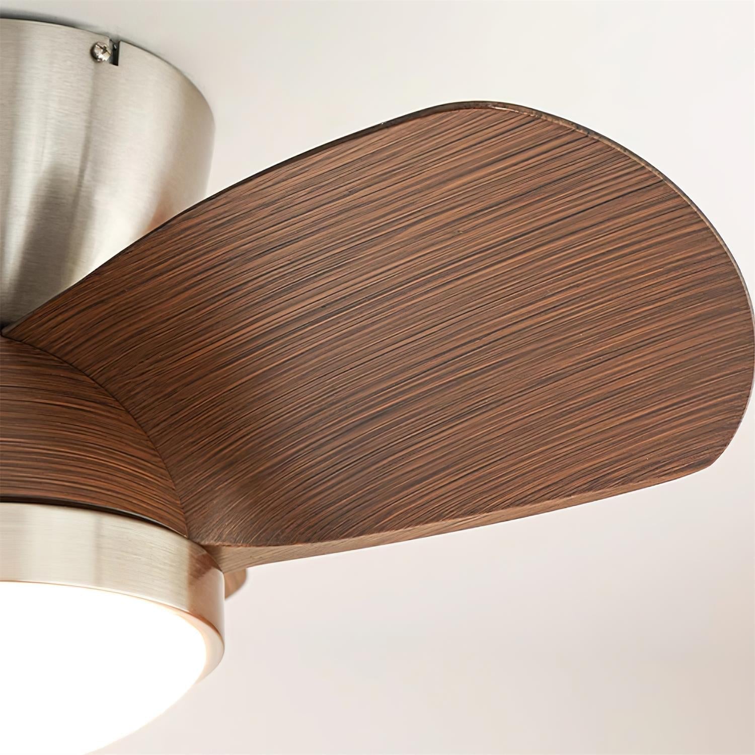 Plafonnier Ventilateur Ventra Moderne en Bois, photo d'ambiance