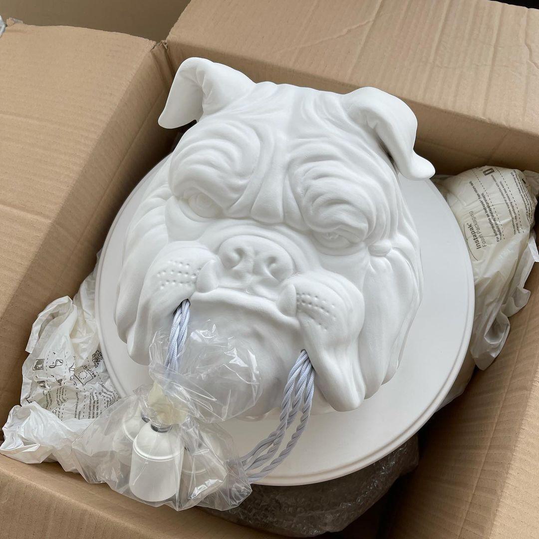 Lustra Applique Murale Sculpture Bulldog Fantaisiste - Neutralighting