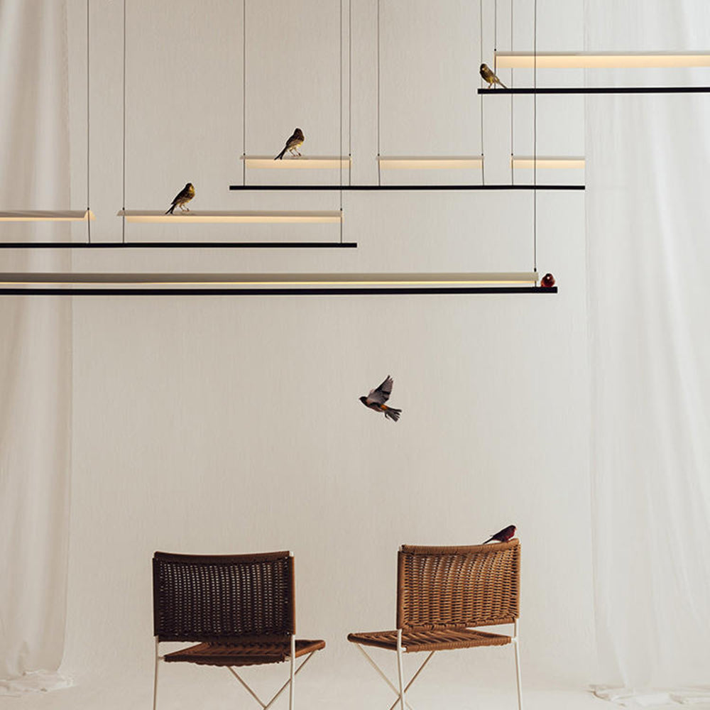 Ray Suspension Linéaire Inhabituel, Métal/Acrylique, Noir, Salon/Restaurant - Neutralighting