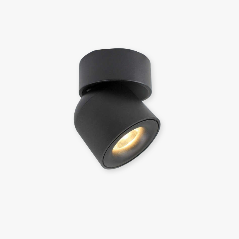 Arisha Plafonnier Spot LED Encastré Modern, Métal, Noir/Blanc, Salon/Salle à Manger - Neutralighting