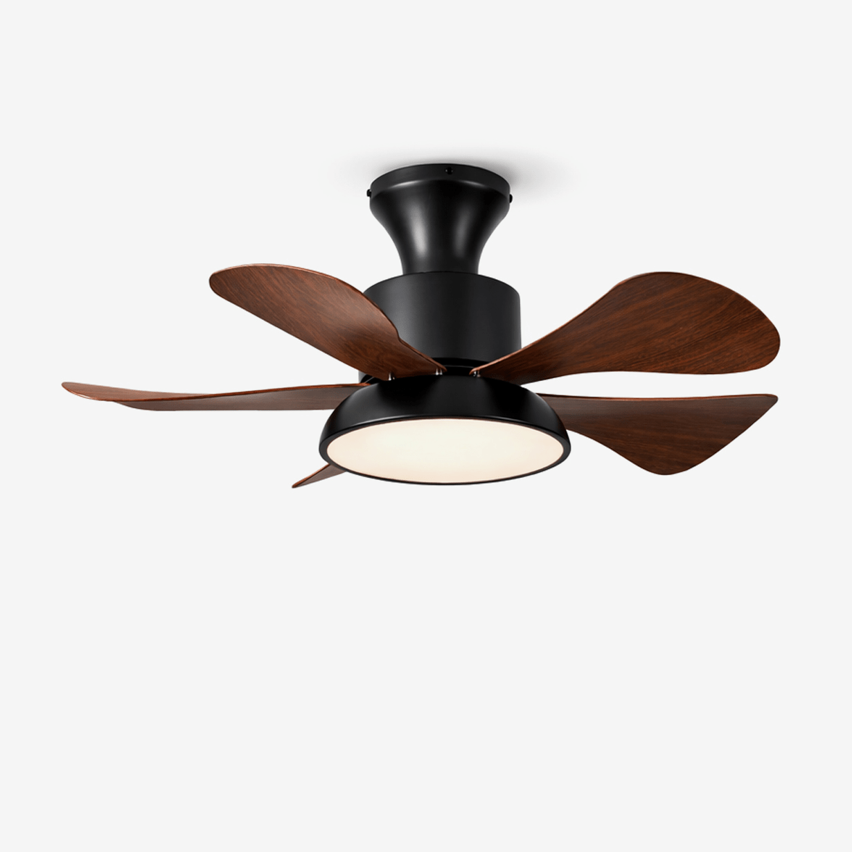 Ventilateur de plafond Archer avec corps couleur noyer et LED intégrée