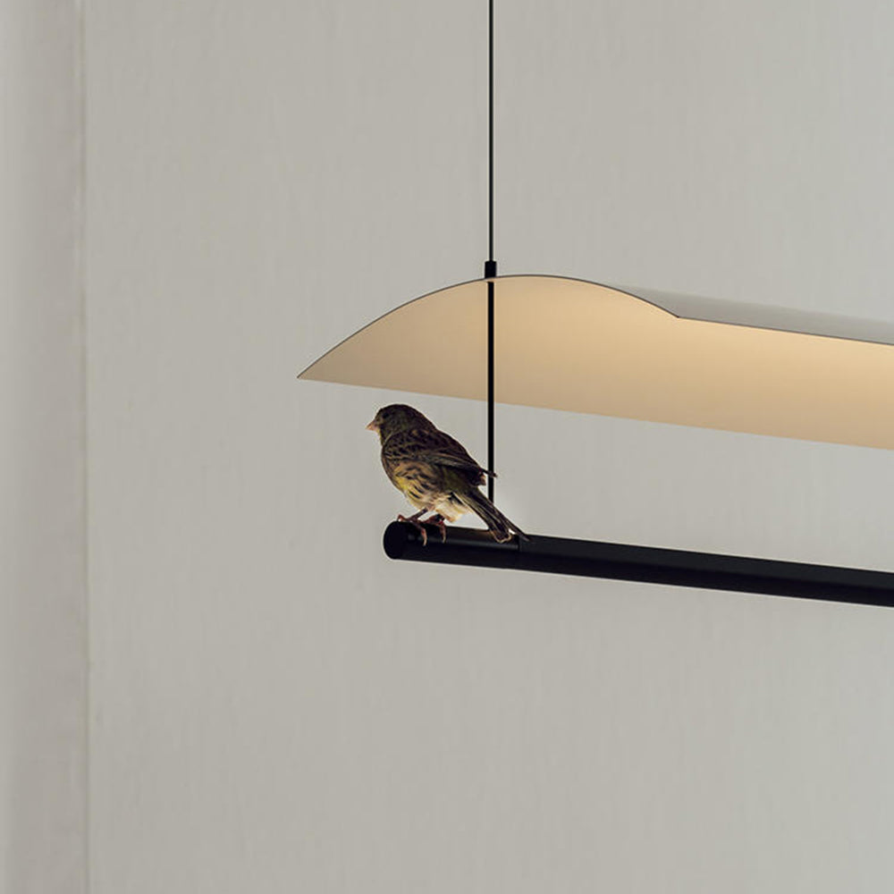 Ray Suspension Linéaire Inhabituel, Métal/Acrylique, Noir, Salon/Restaurant - Neutralighting