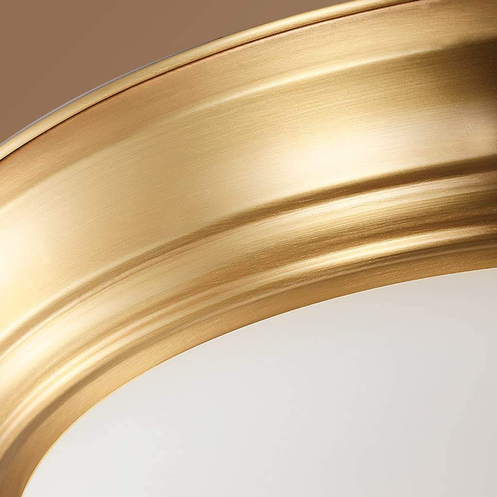 Silva LED Plafonnier Métal Salon Chambre à Coucher