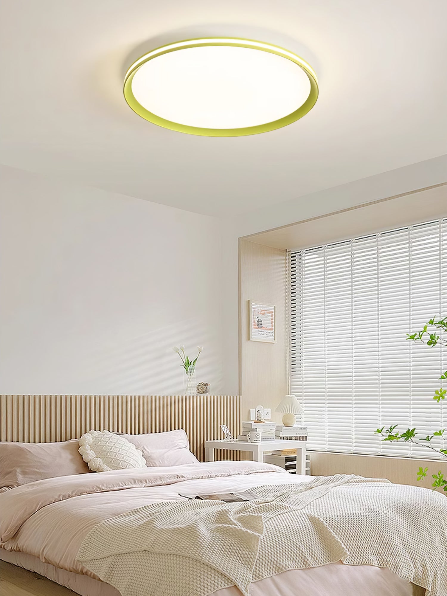 Acrylic Circular LED Ceiling Light - Blowlighting