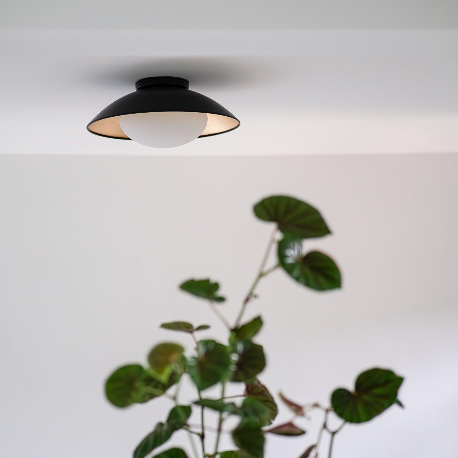 Arinora Ceiling Light - Letslighting