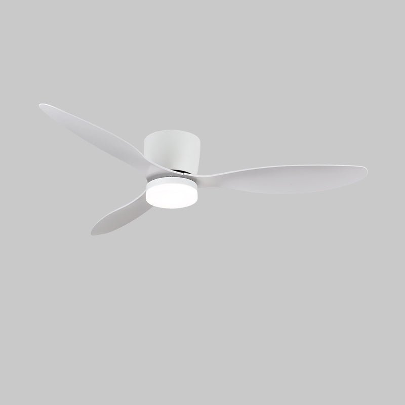 Détail des commandes de vitesse et de lumière du ventilateur sur la télécommande.