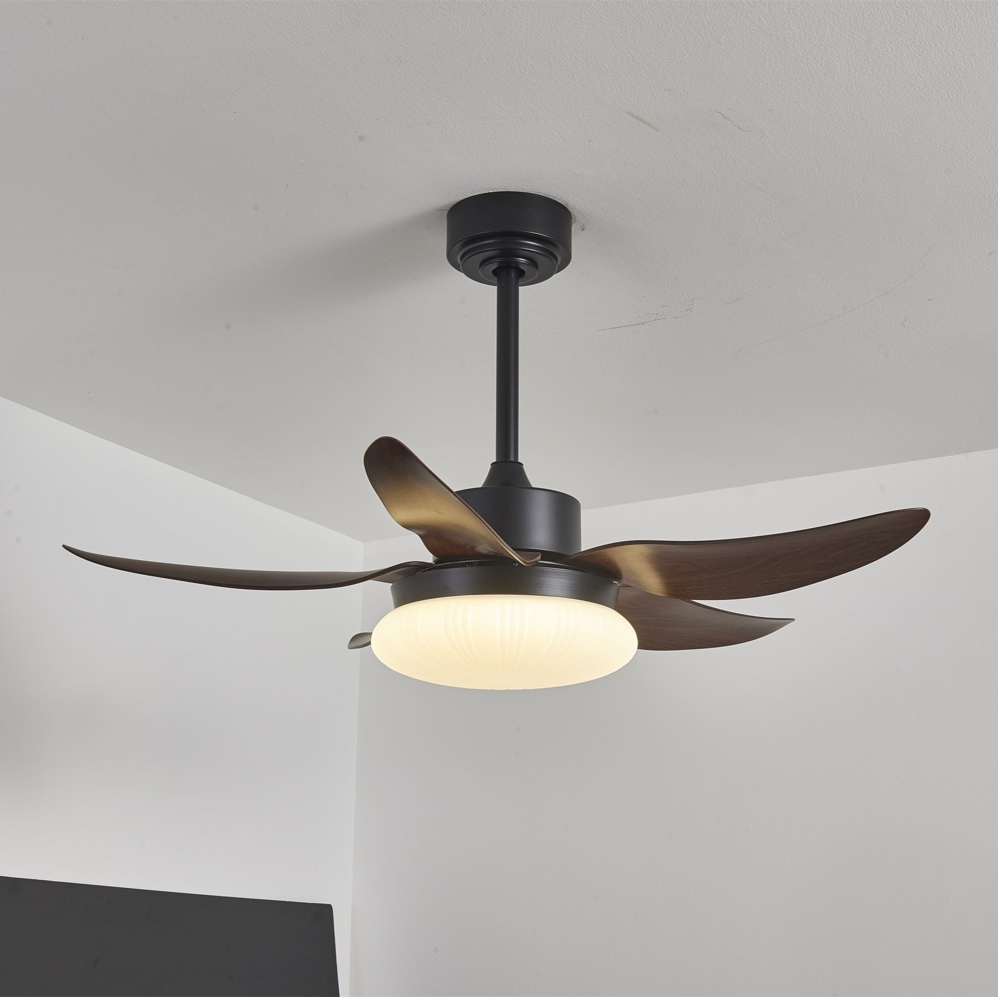 Ventilateur de plafond Zerith avec lumière, pales déployées, gros plan.