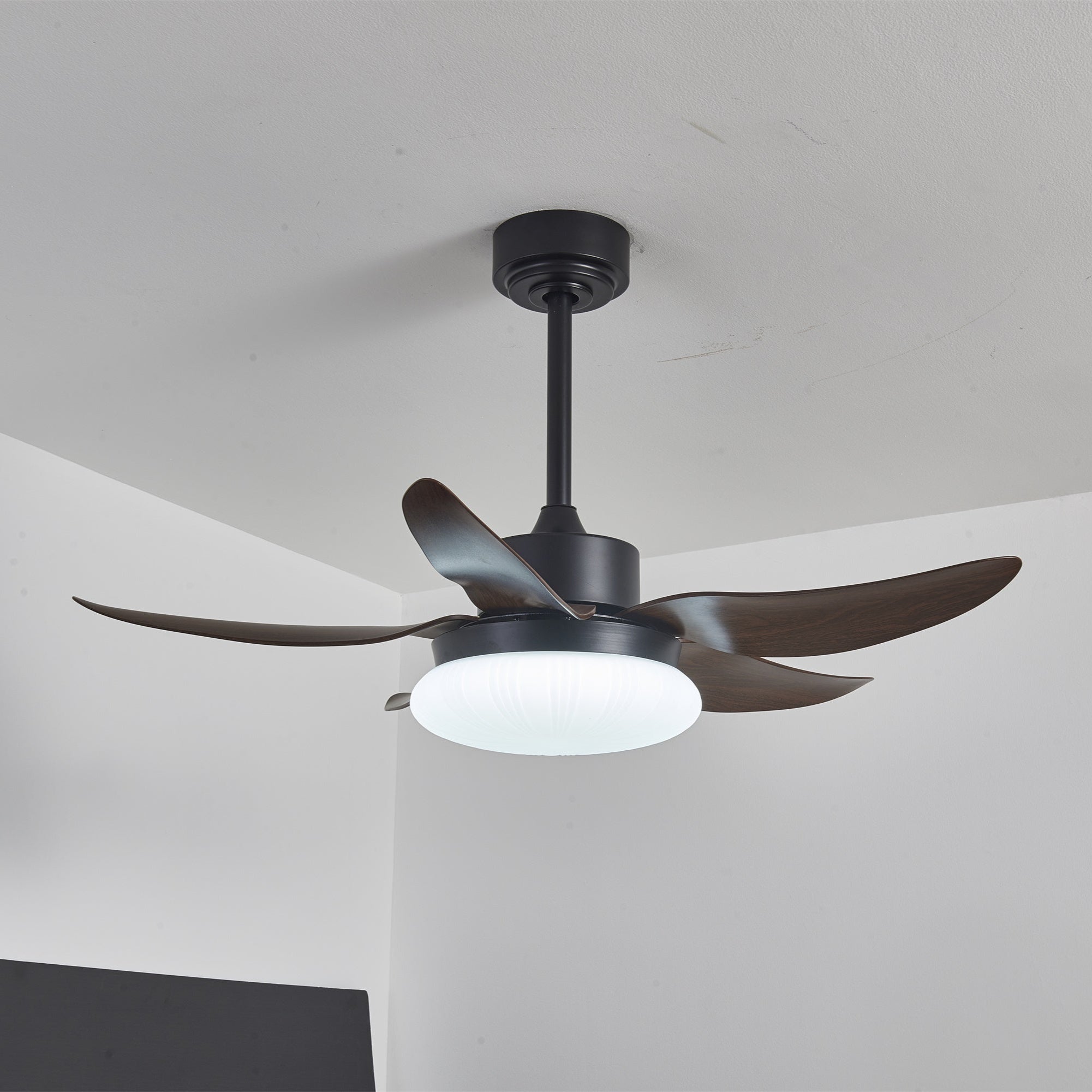 Détail de la finition en bois de noyer des pales du ventilateur.
