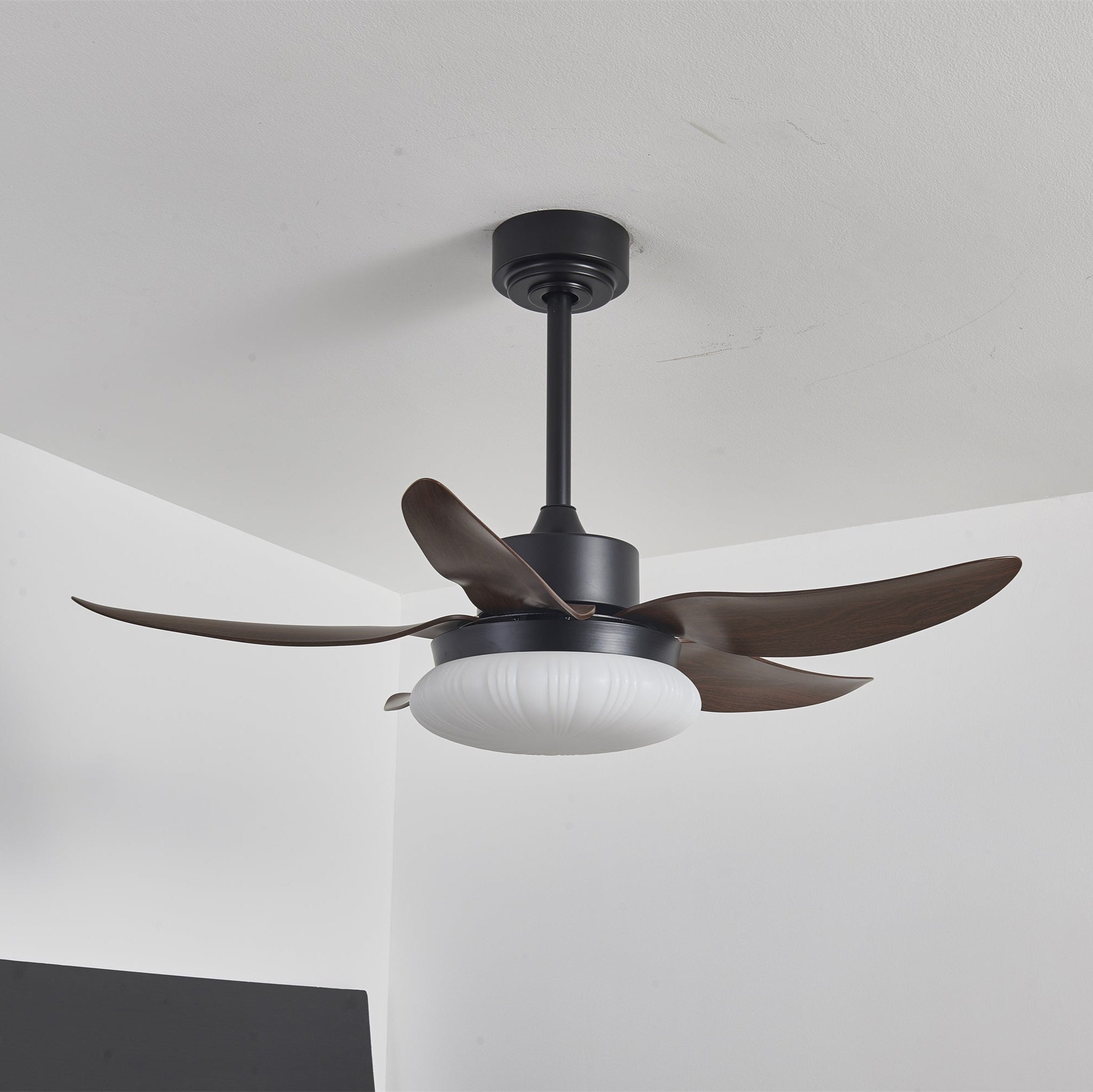 Ventilateur de plafond avec lumière dans un salon.