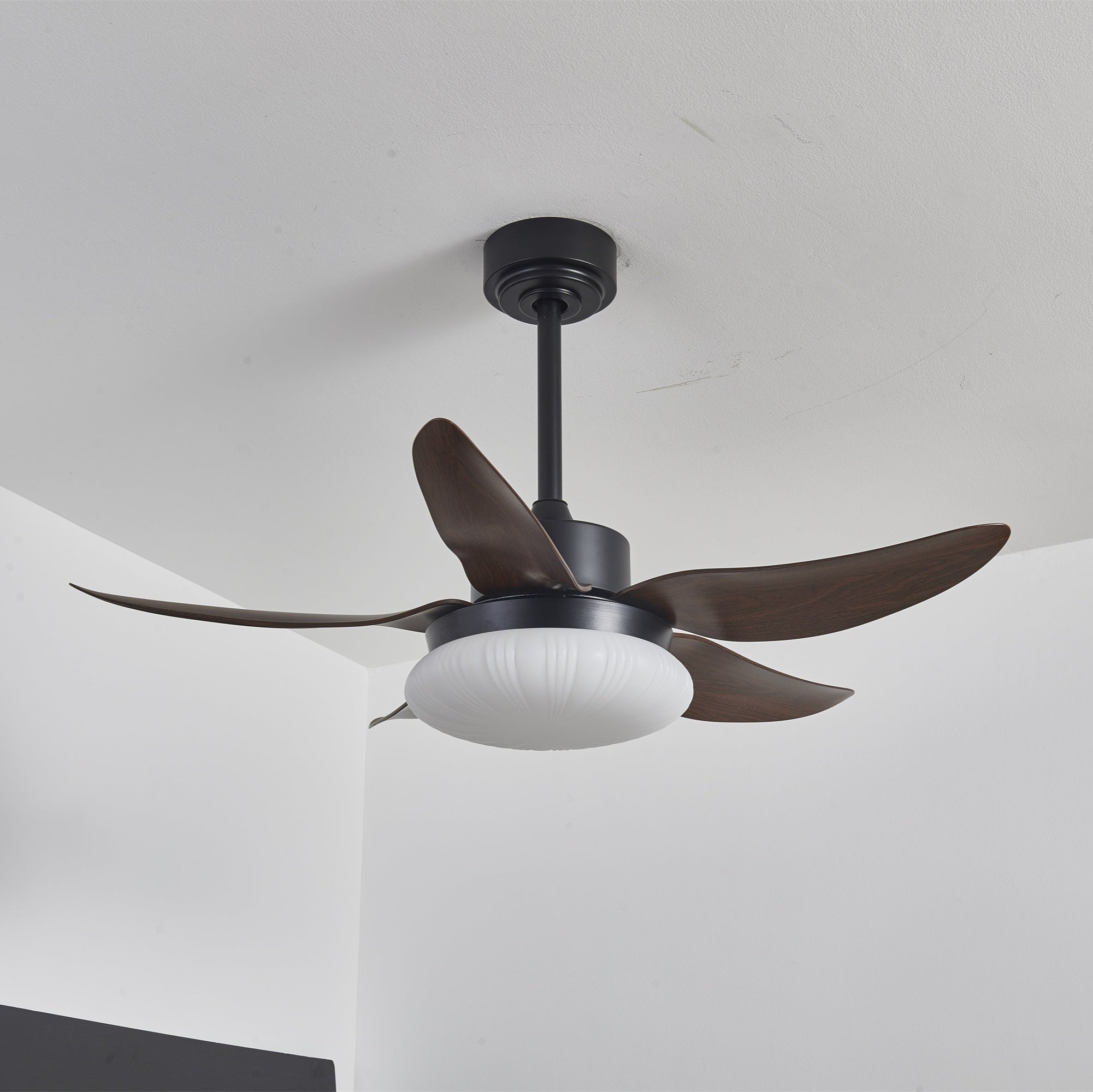 Ventilateur de plafond Zerith avec lumière, montrant le moteur en cuivre pur.