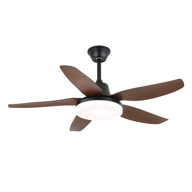 Ventilateur de plafond Aurefan en bois dans un salon moderne