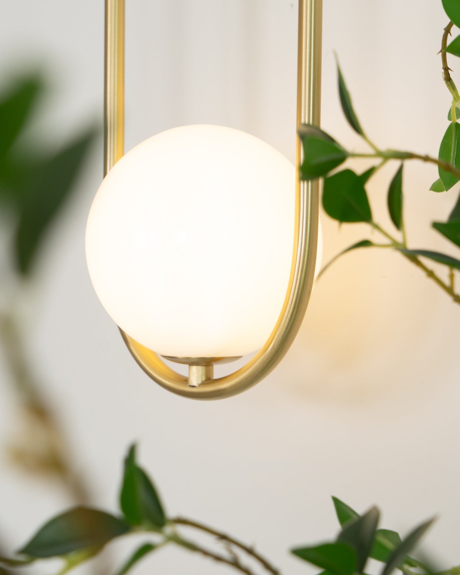 Virelli Applique Murale Cadre en Laiton en Forme de Boucle et Globe en Verre pour Art - Neutralighting