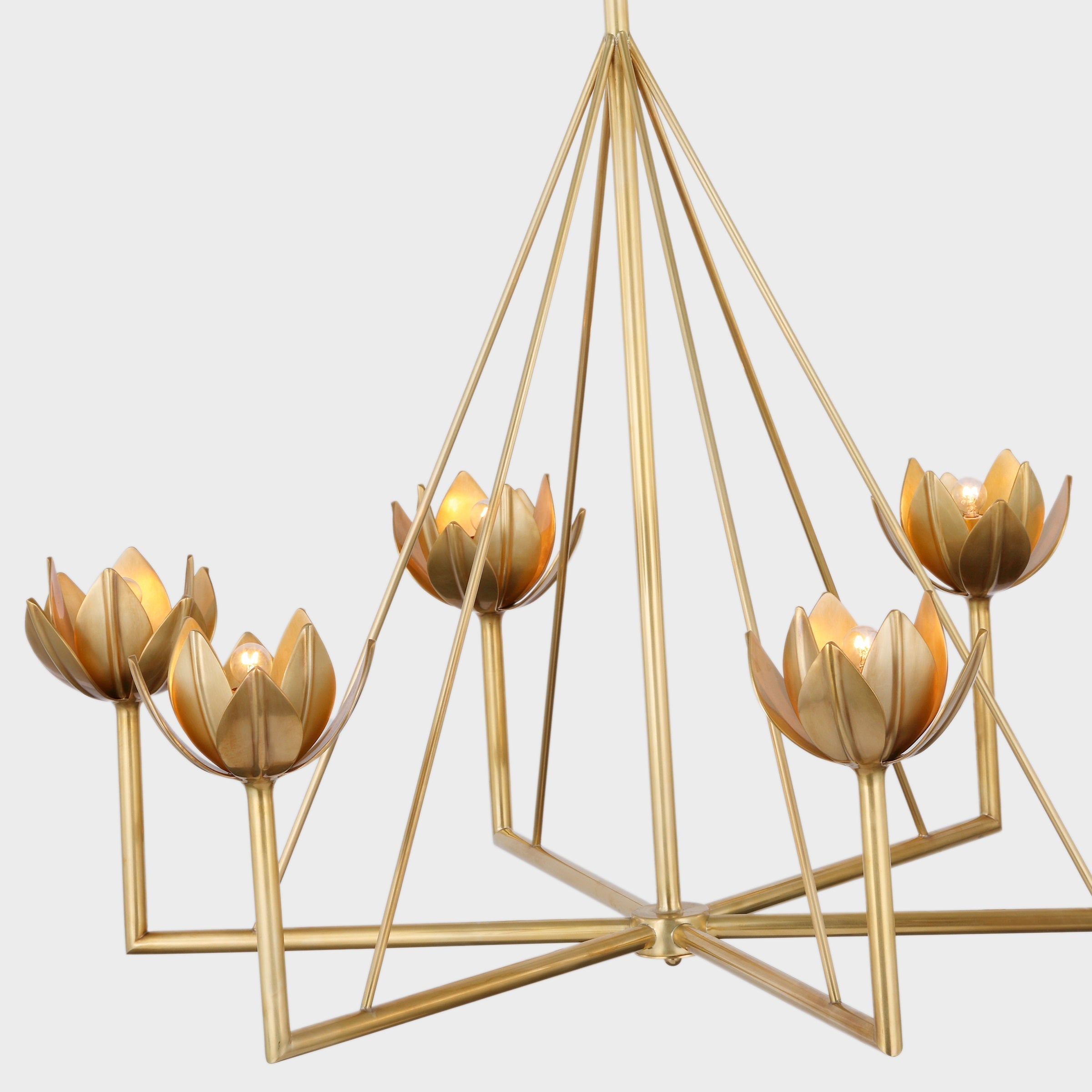Alberto Modern Minimalist Floral Brass Chandelier - Lamp Copper