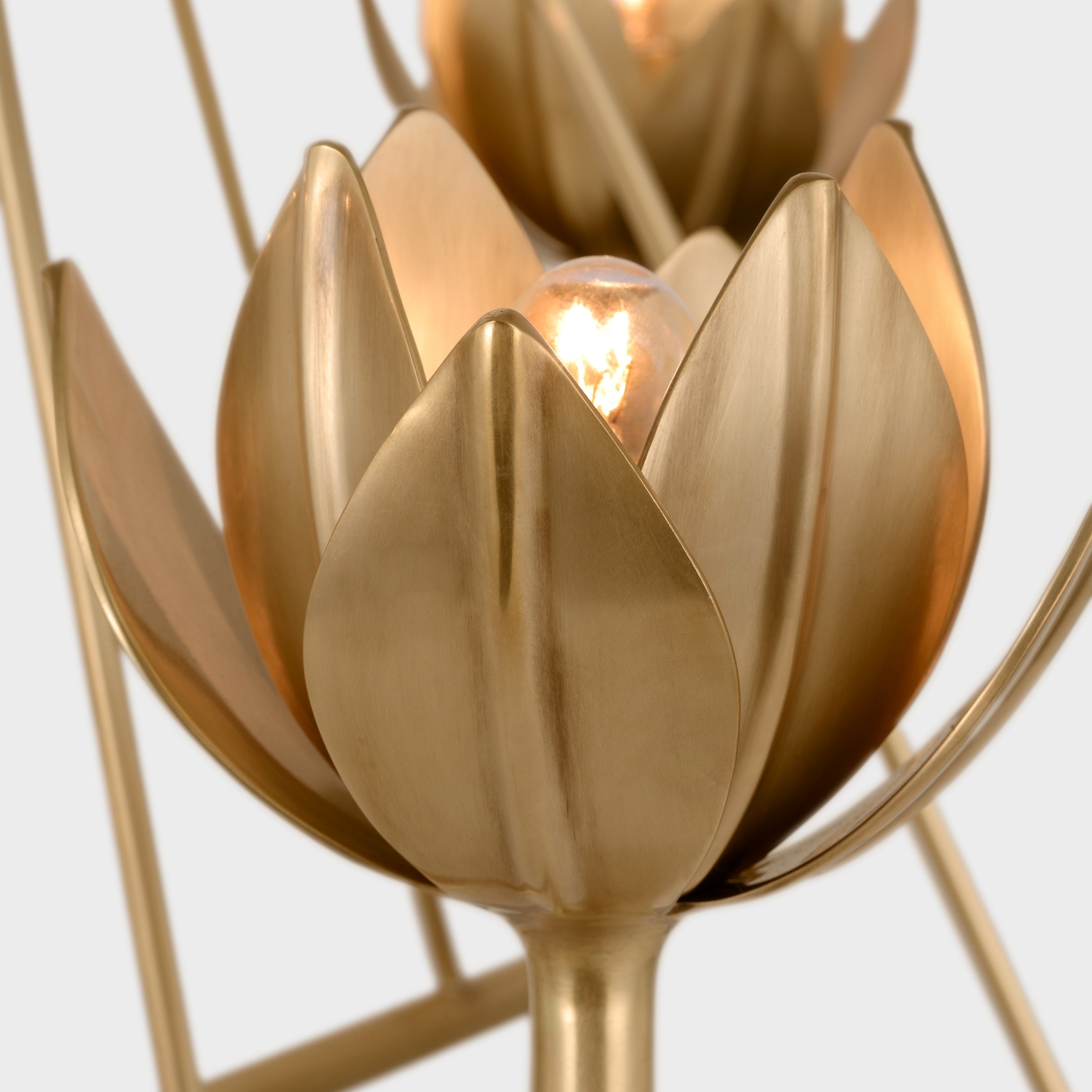 Alberto Modern Minimalist Floral Brass Chandelier - Lamp Copper