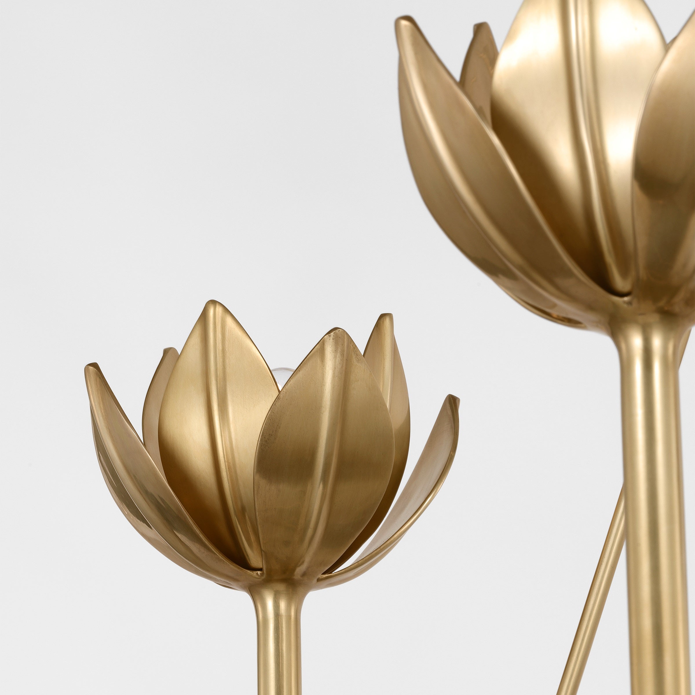Alberto Modern Minimalist Floral Brass Chandelier - Lamp Copper