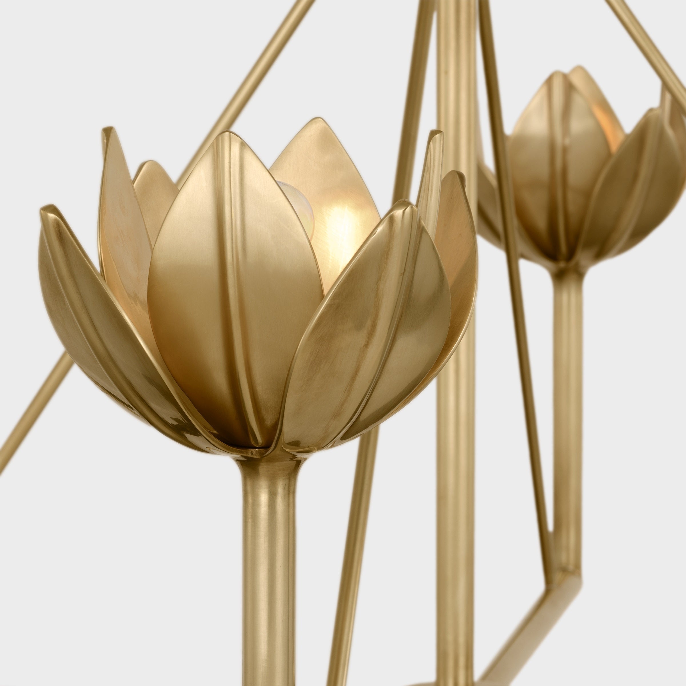 Alberto Modern Minimalist Floral Brass Chandelier - Lamp Copper