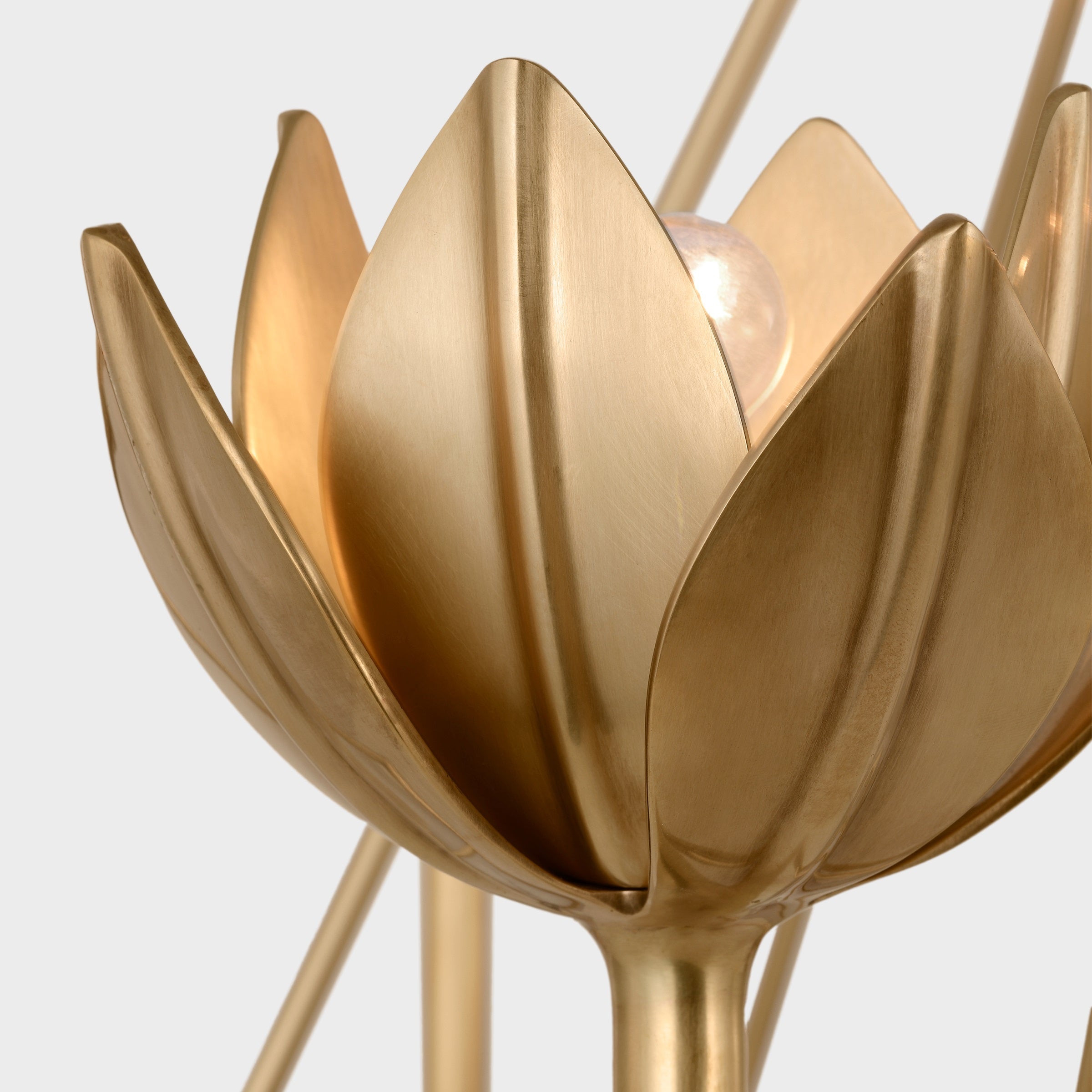 Alberto Modern Minimalist Floral Brass Chandelier - Lamp Copper