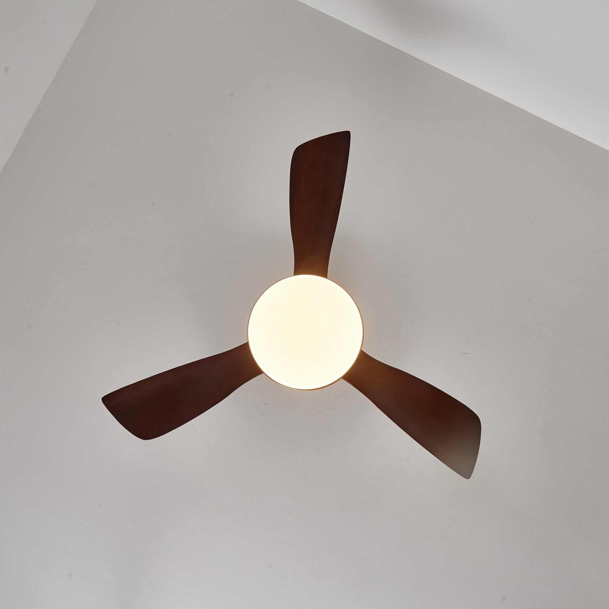 Plafonnier ventilateur Xen moderne en bois, photo d'ambiance dans un espace contemporain