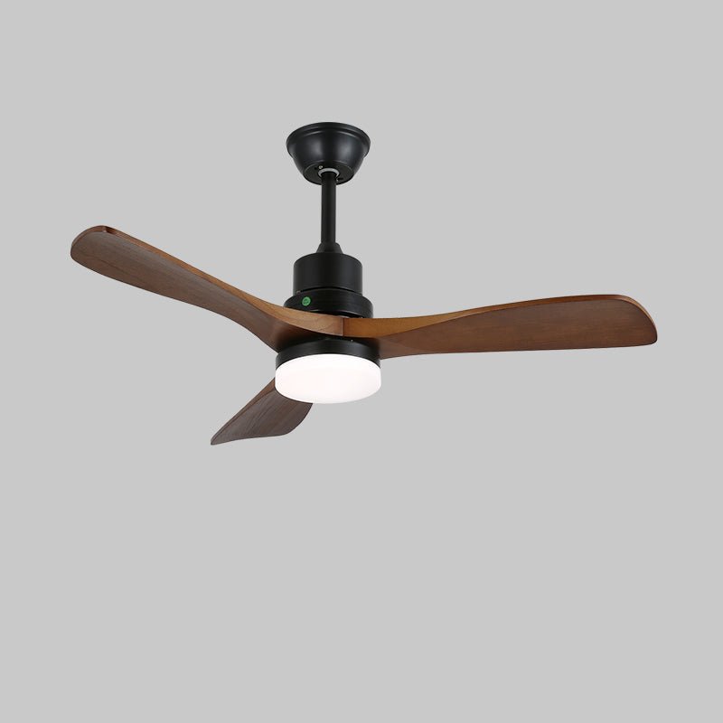 Ventilateur de plafond Kaelen finition Noire