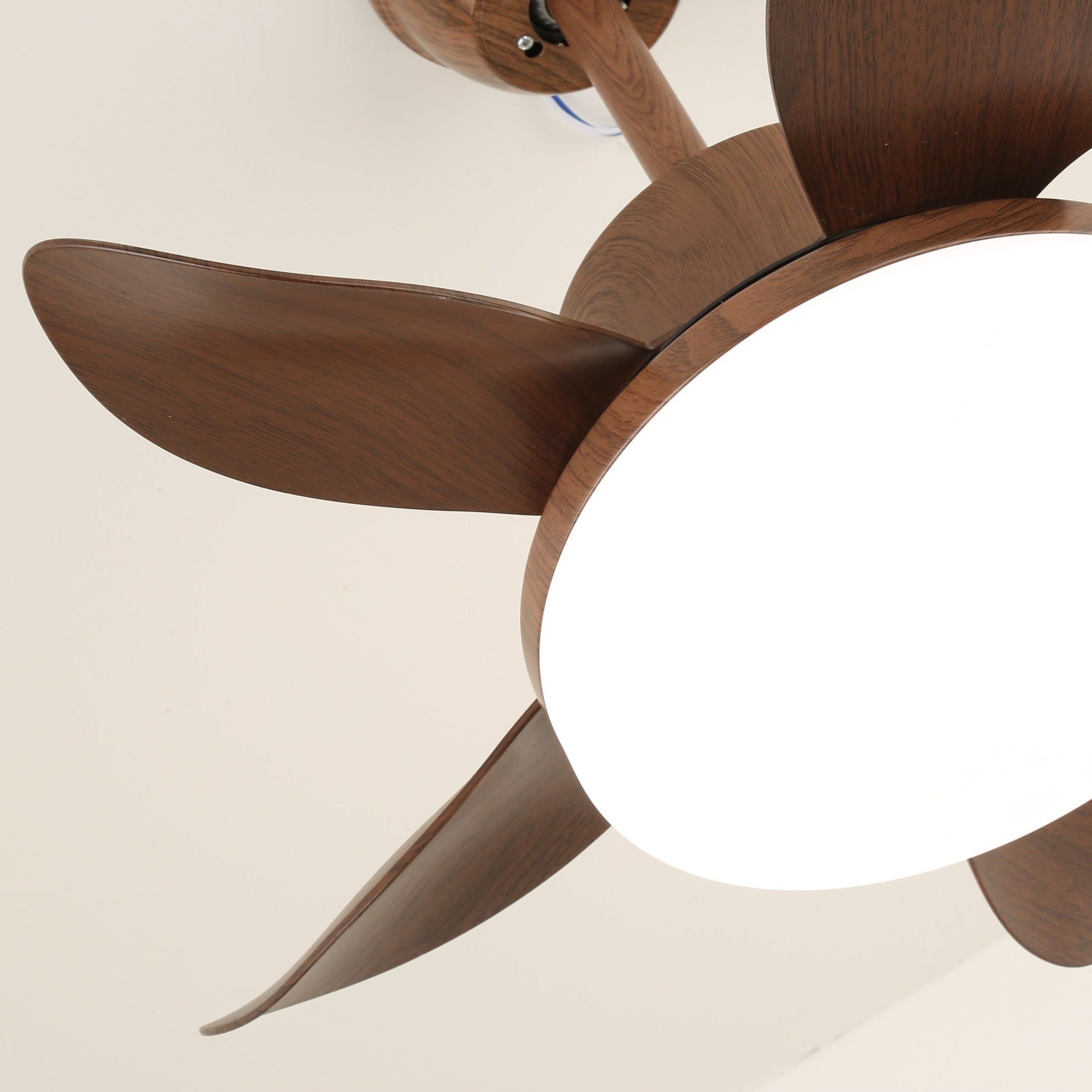 Détail de l'abat-jour en acrylique du plafonnier ventilateur Alenya en bois