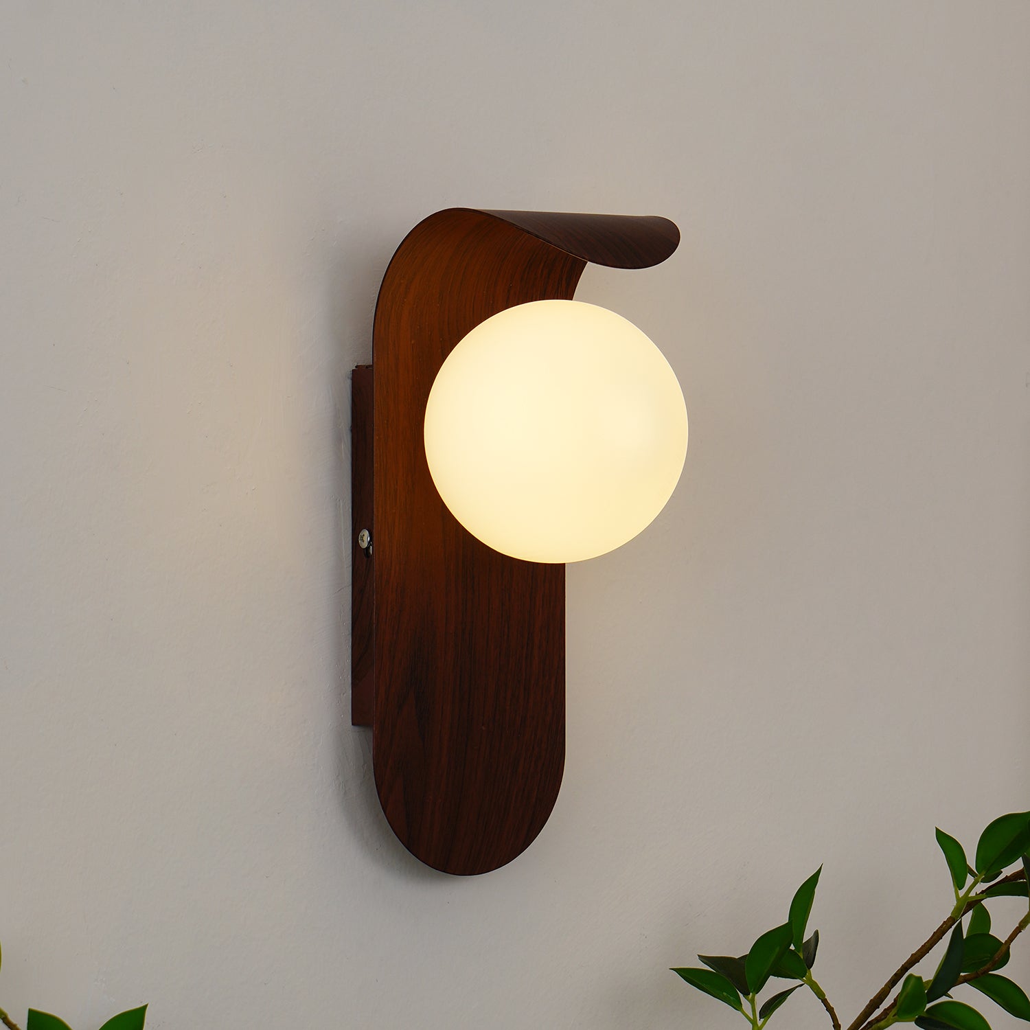 Exuro Applique Murale Intérieure en Bois / Noyer