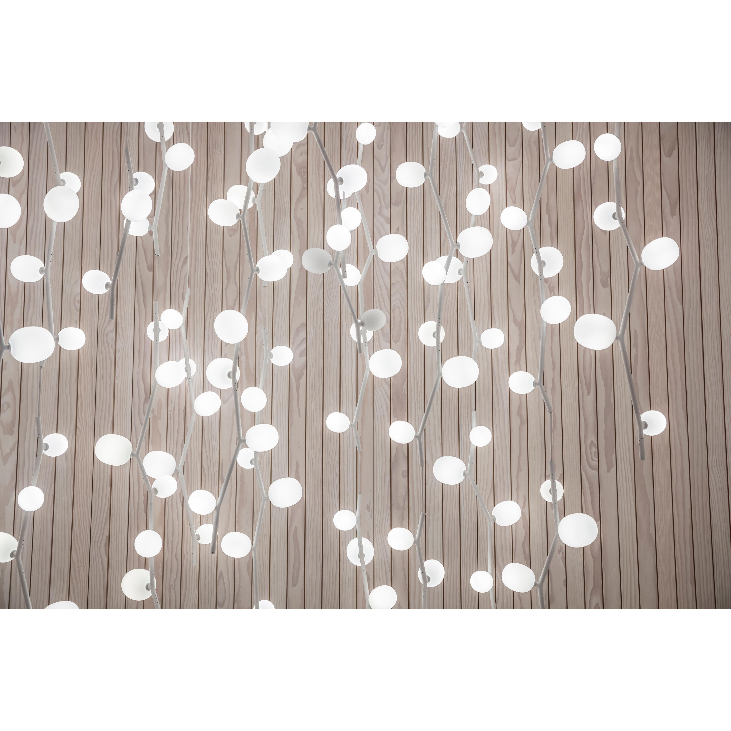 Isolora Suspension Verticale Verre Moderne - Neutralighting
