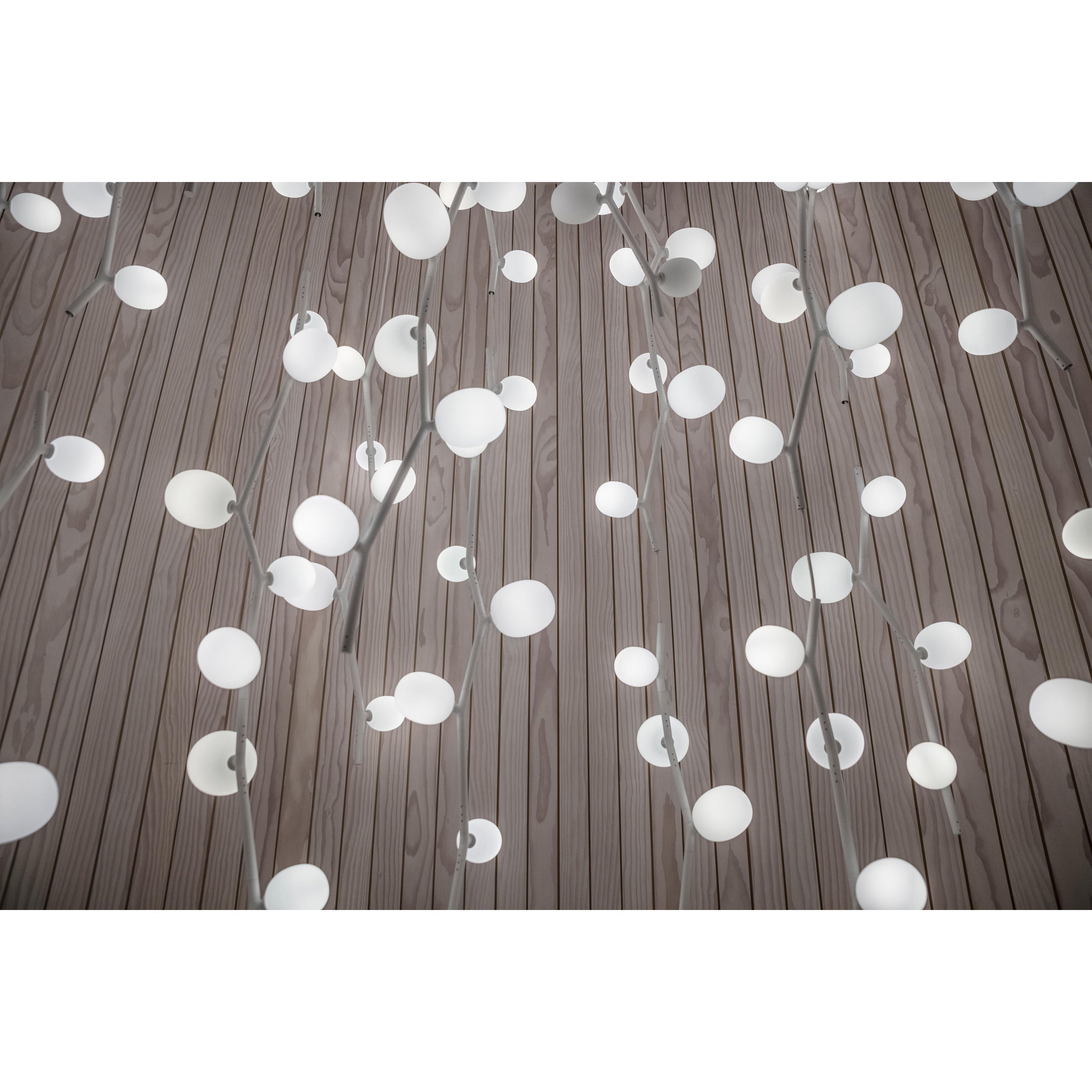 Isolora Suspension Verticale Verre Moderne - Neutralighting