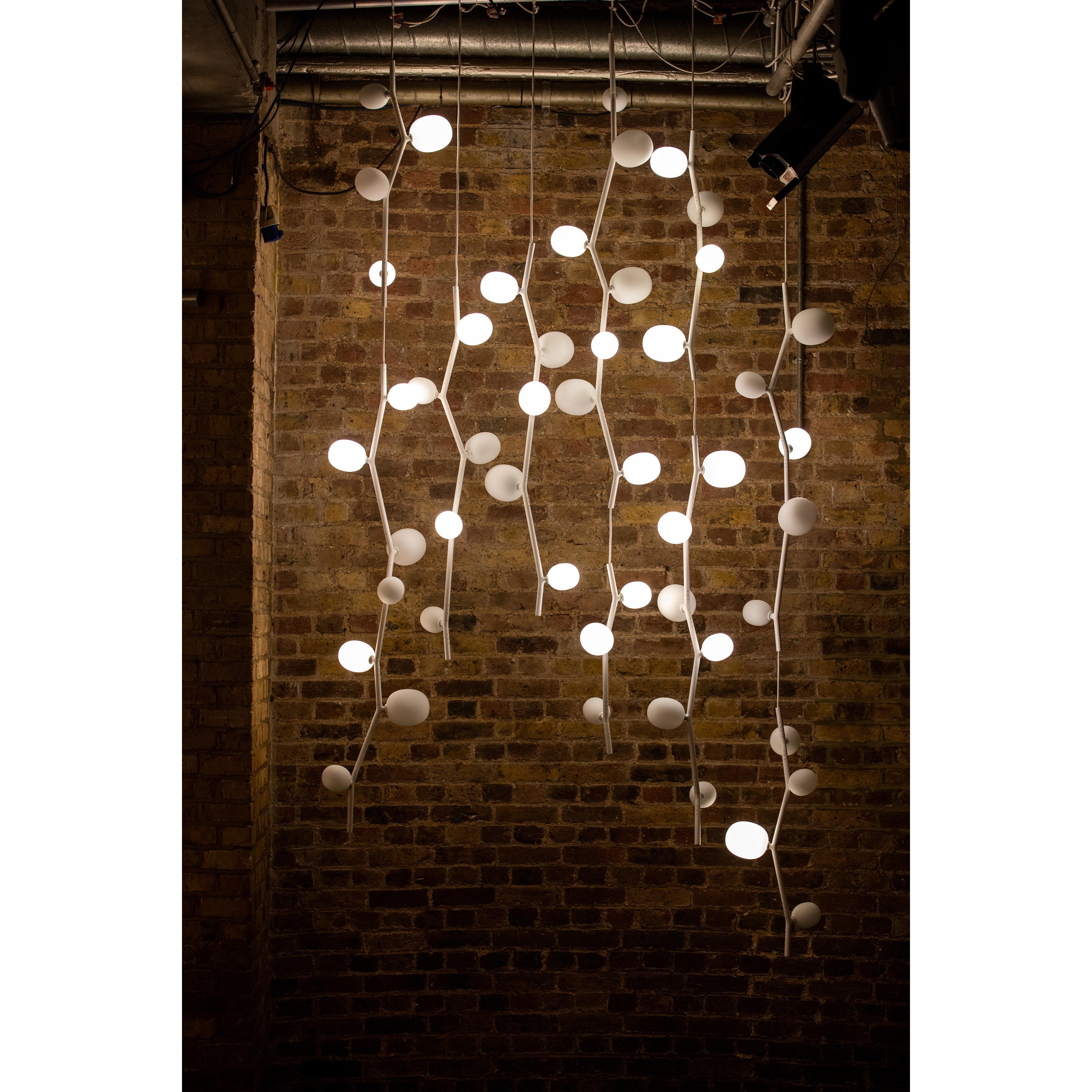 Isolora Suspension Verticale Verre Moderne - Neutralighting