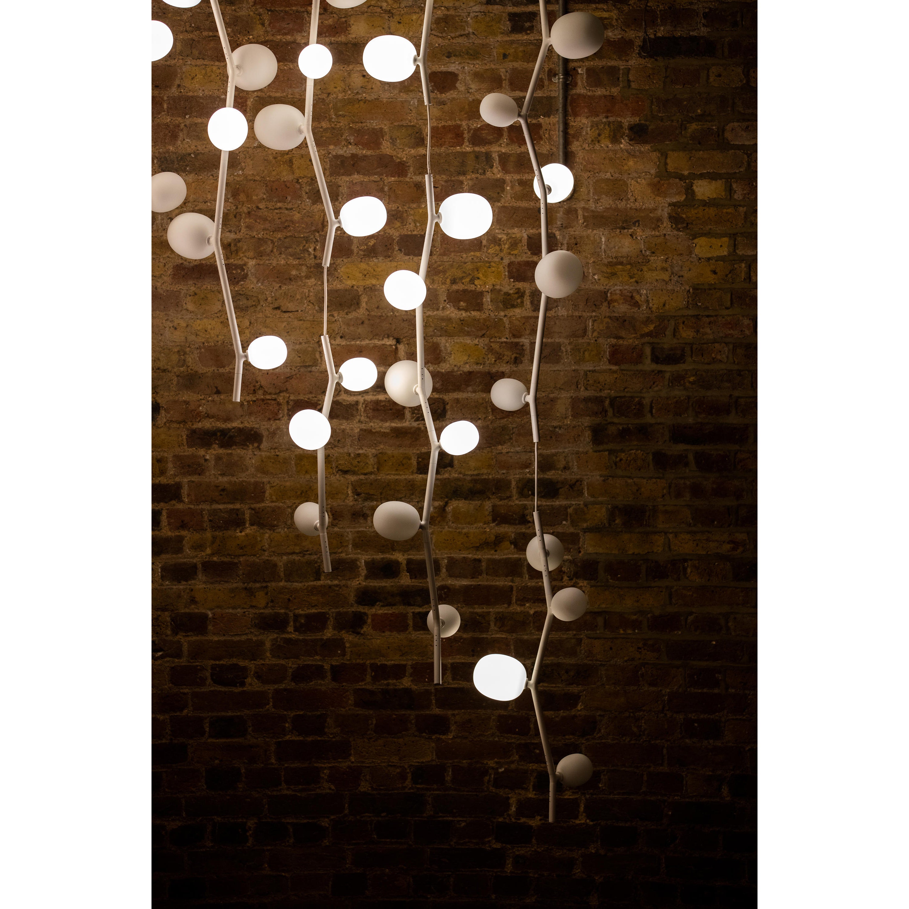 Isolora Suspension Verticale Verre Moderne - Neutralighting