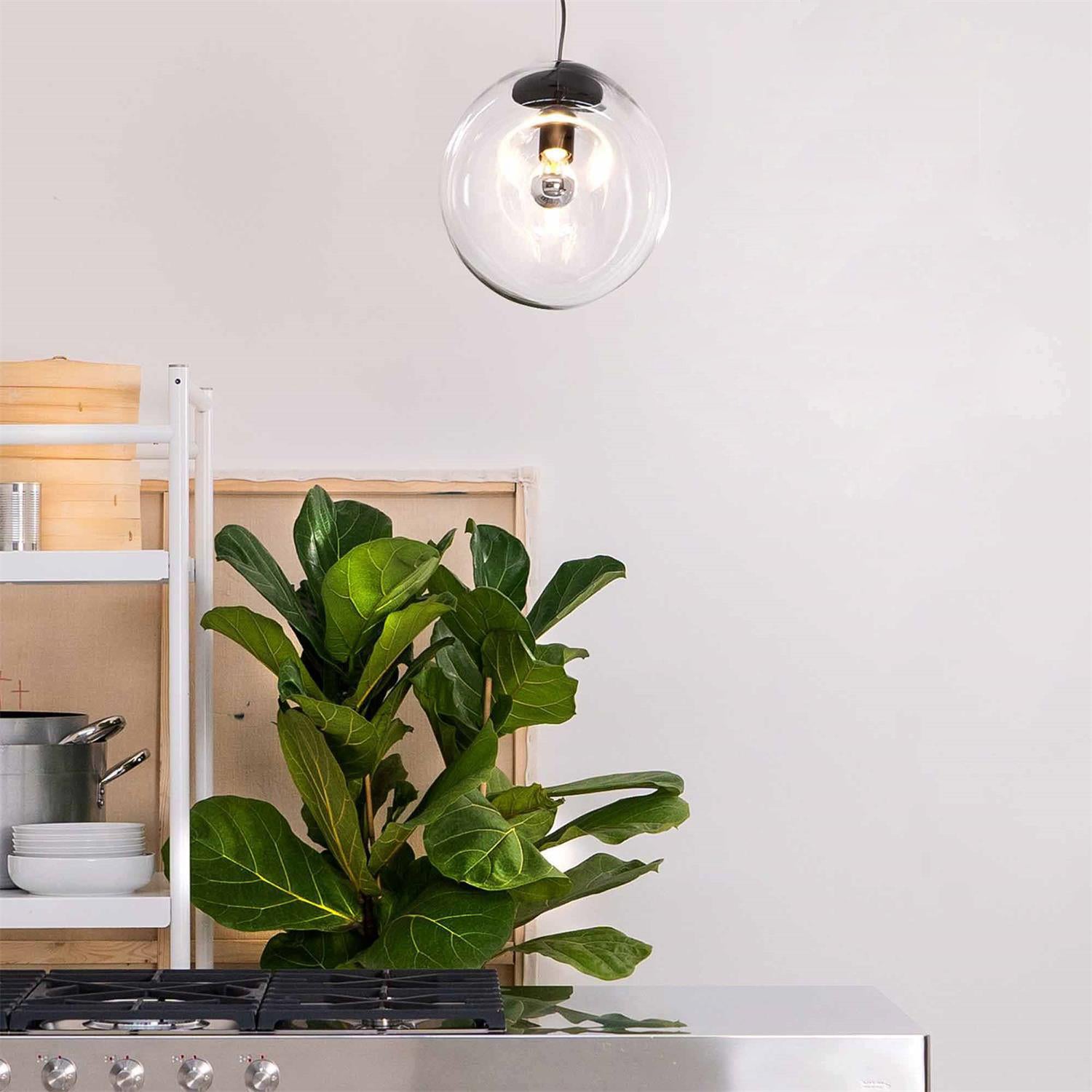 Lampe Pendentive en Verre Noir Moderne Minimaliste Lymara - Neutralighting