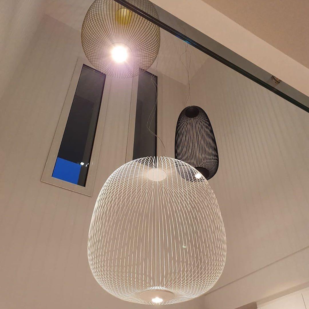 Vadorora Modern Minimalist Cage Metal Pendant Lamp - Lamp Copper