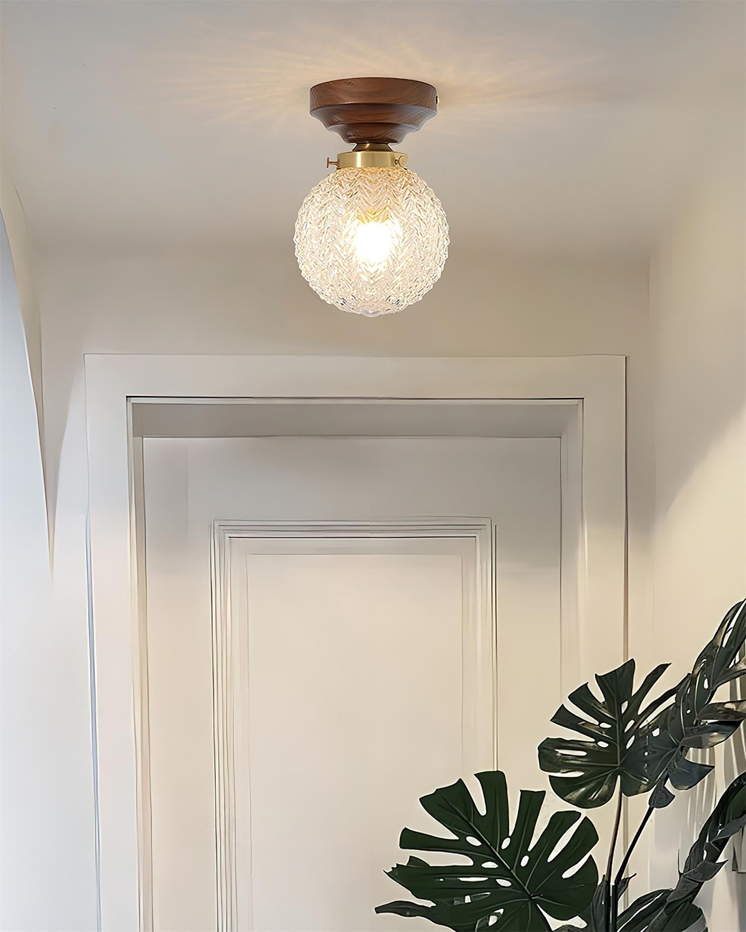 Pavo Plafonnier Verre Transparent Abat-jour Globe - Neutralighting