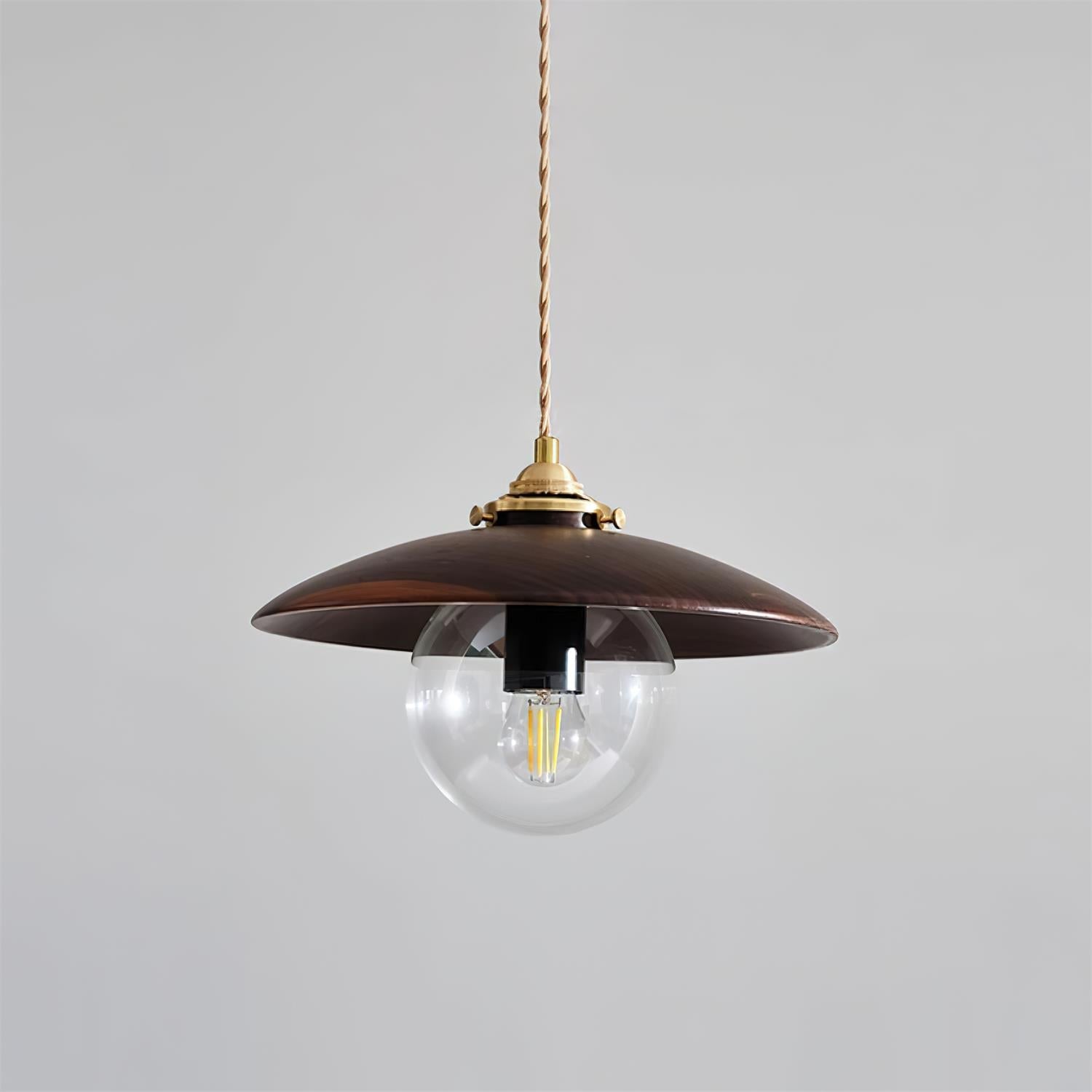 Pendant Light with Disc Shade and Glass Globe Industrial - Letslighting