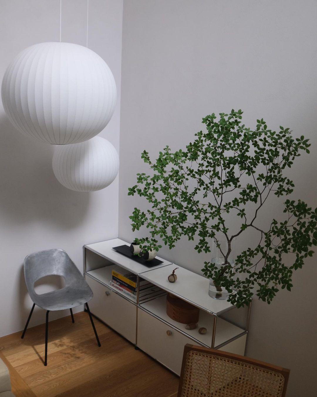 Alvaris White Modern Pendant Light - Letslighting