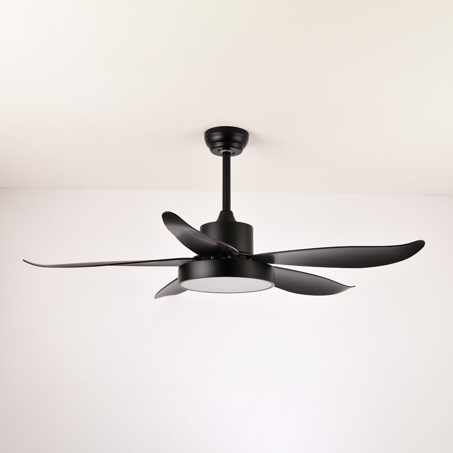 La source lumineuse LED intégrée du ventilateur de plafond Auron.