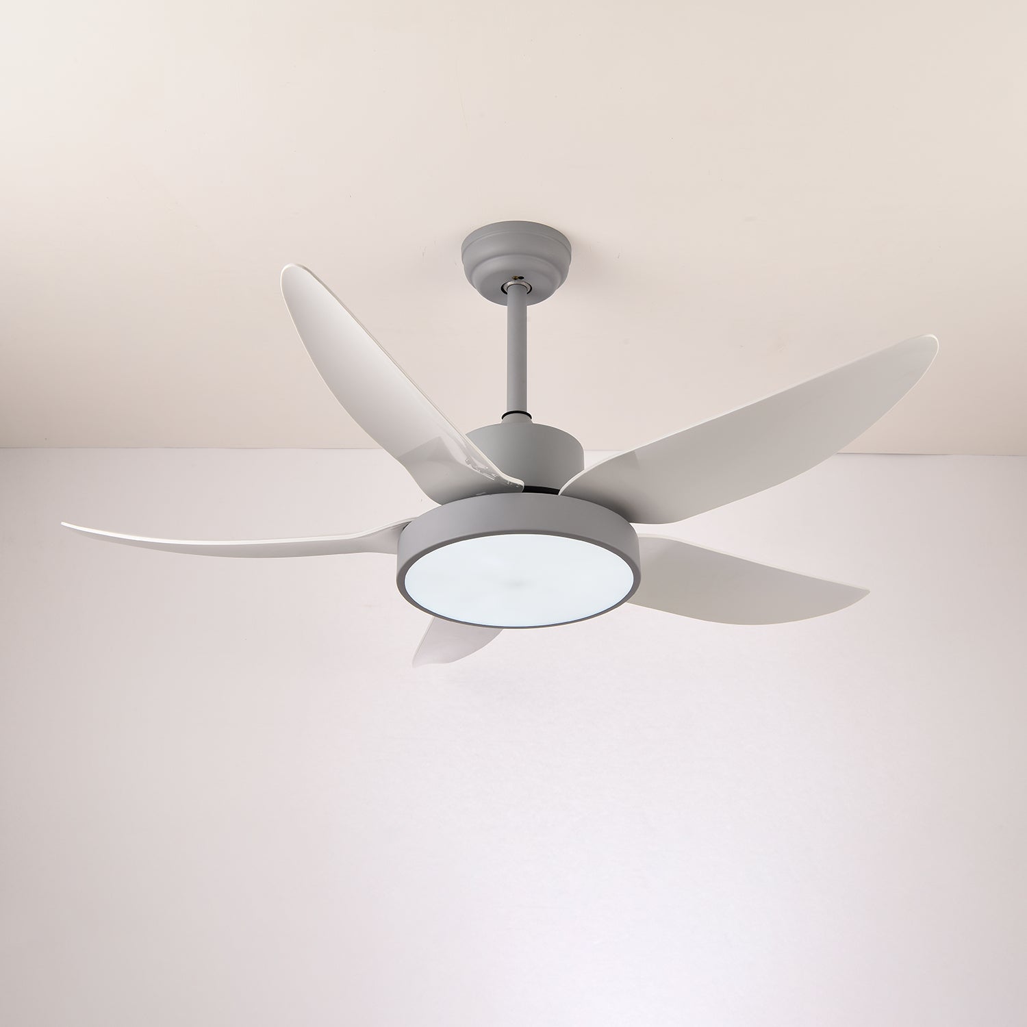 La télécommande portable pour le ventilateur à 6 vitesses et la lumière.