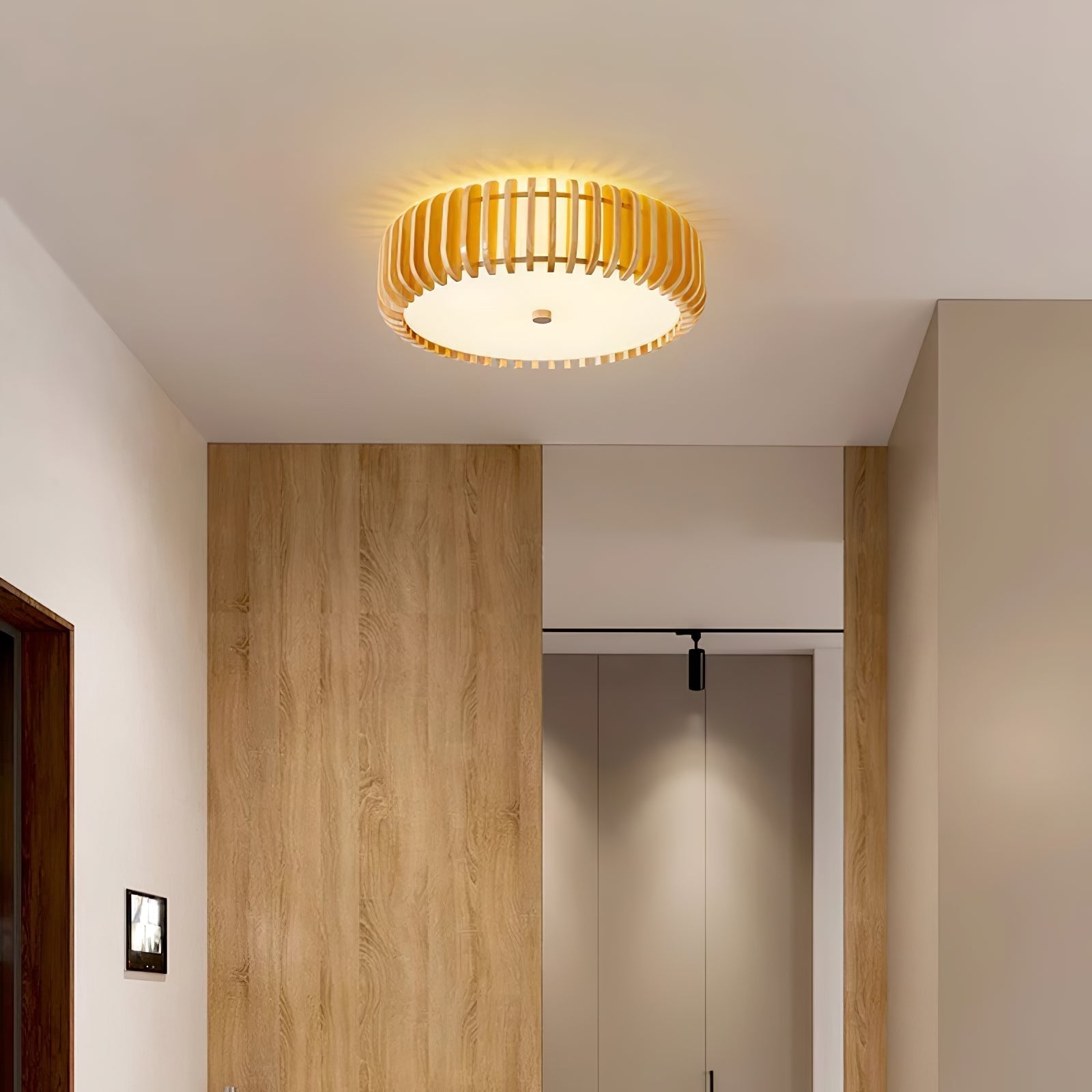 Oakflare Ceiling Lamp - Blowlighting