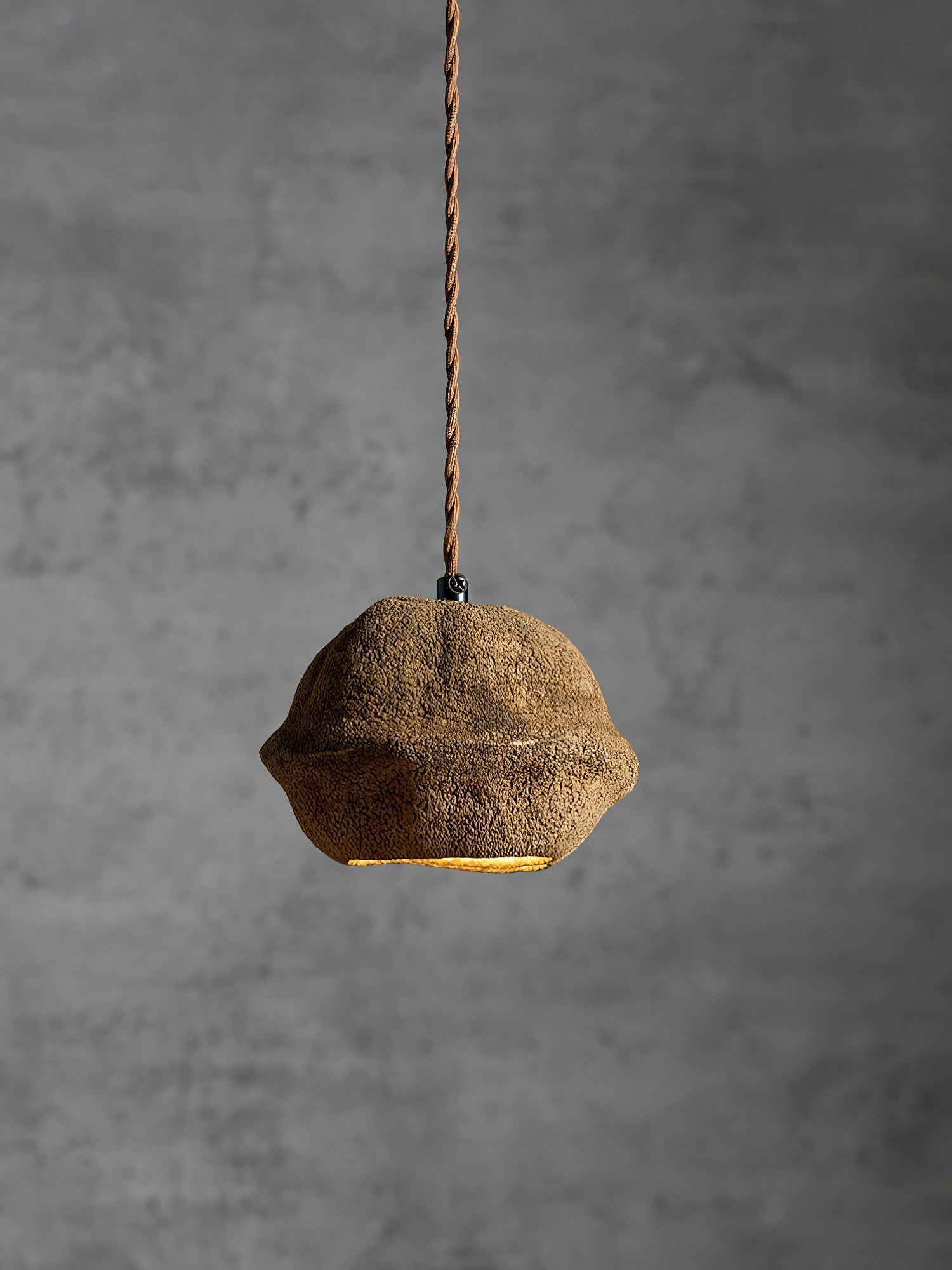 Evshaora Individual Creativity Monkey Bowl Tree Husk Pendant Lamp - Lamp Copper