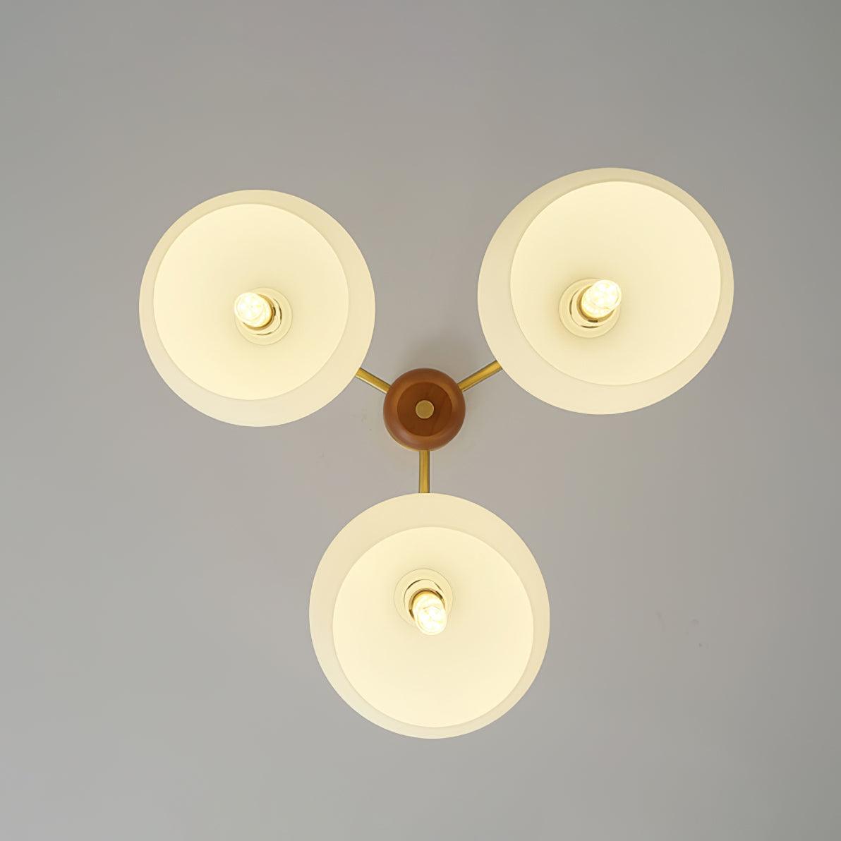 Raito Chandelier Glass Dome Wood Brass - Letslighting