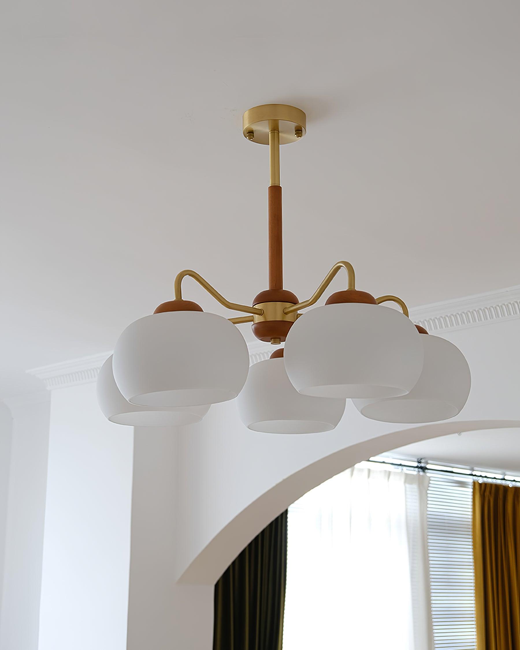 Raito Chandelier Glass Dome Wood Brass - Letslighting