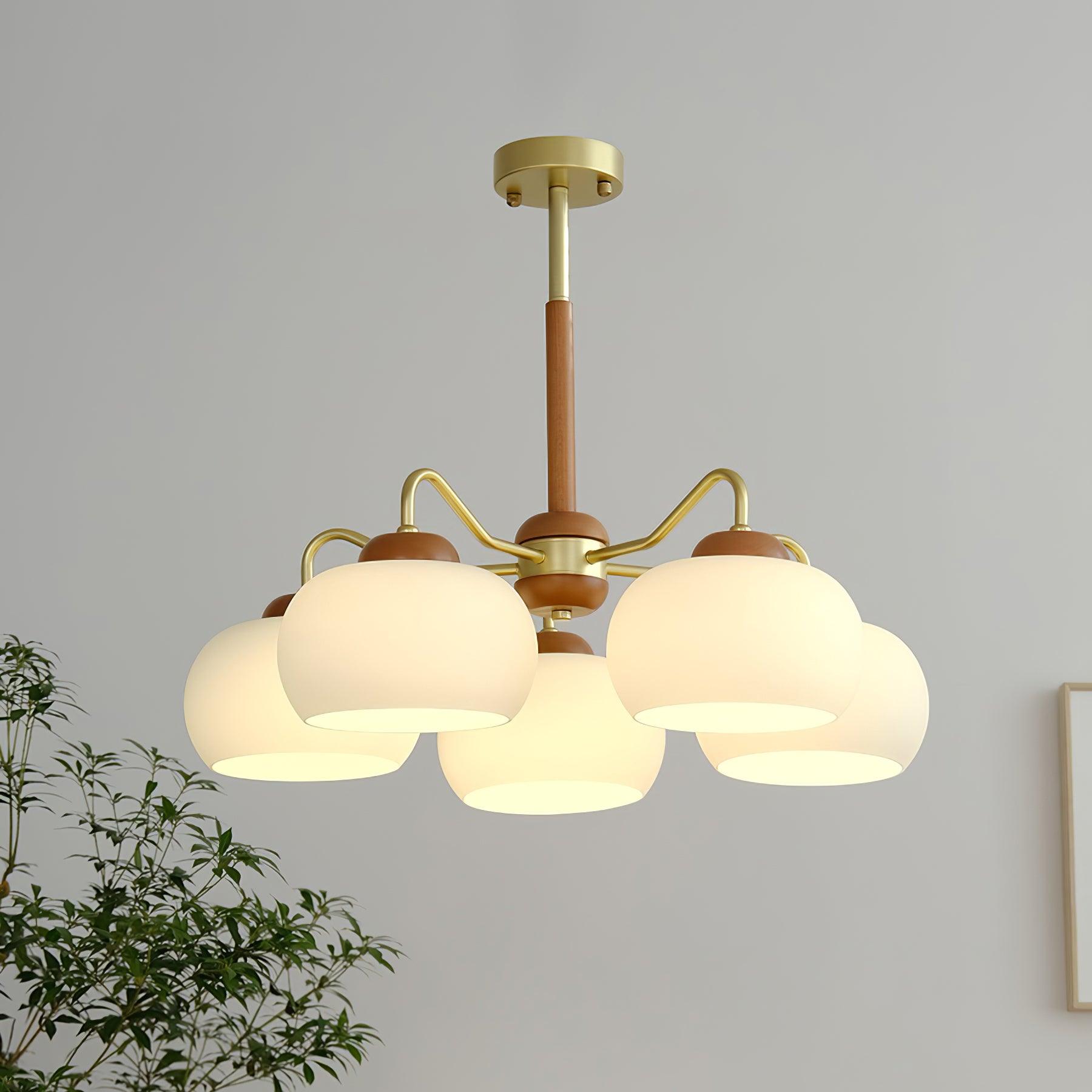 Raito Chandelier Glass Dome Wood Brass - Letslighting