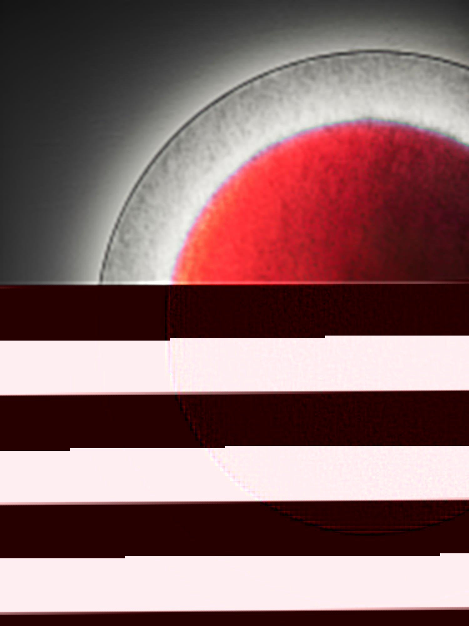 Zevarus Art Relax Plug-in Wall Light - Neutralighting