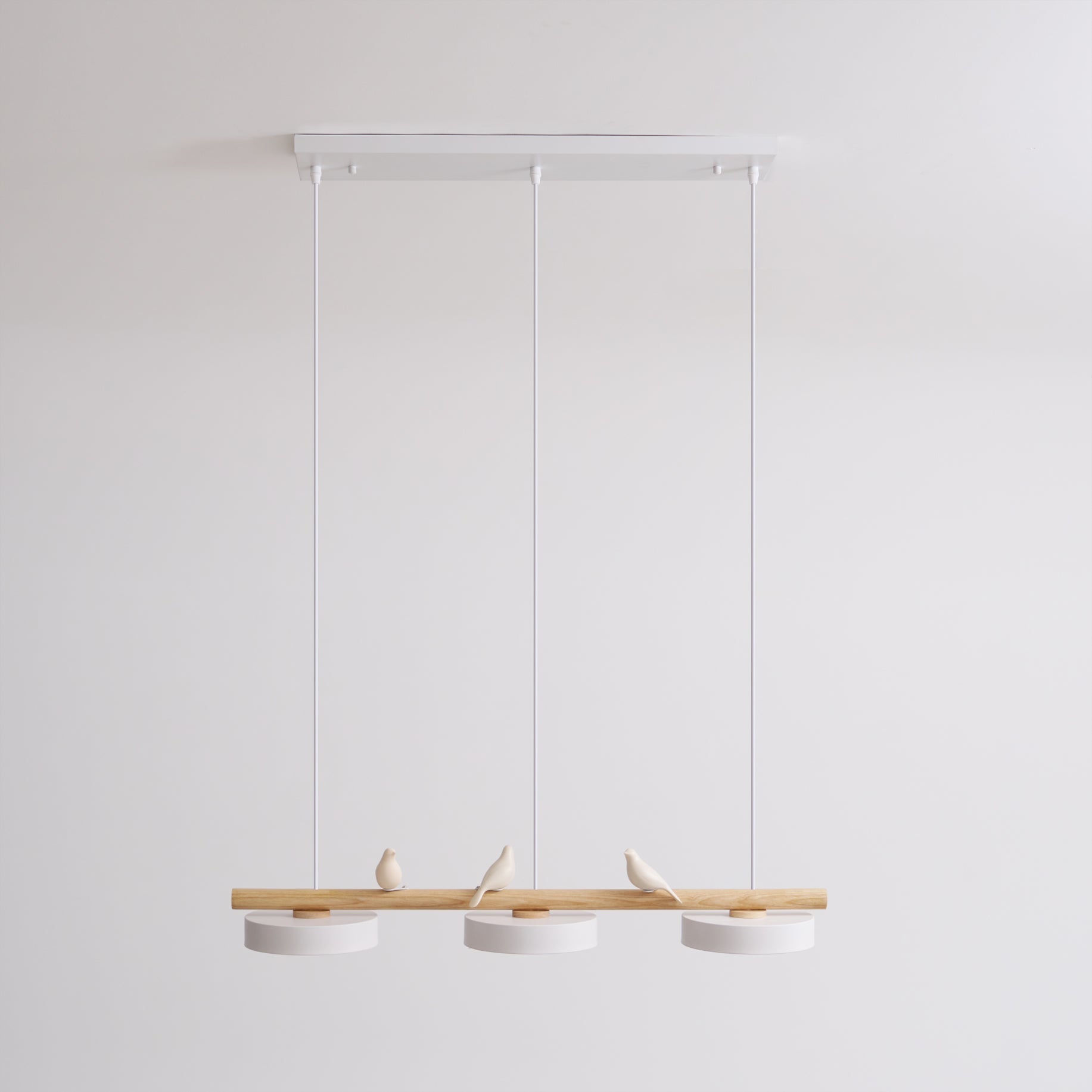 Cliff Suspension Oiseau