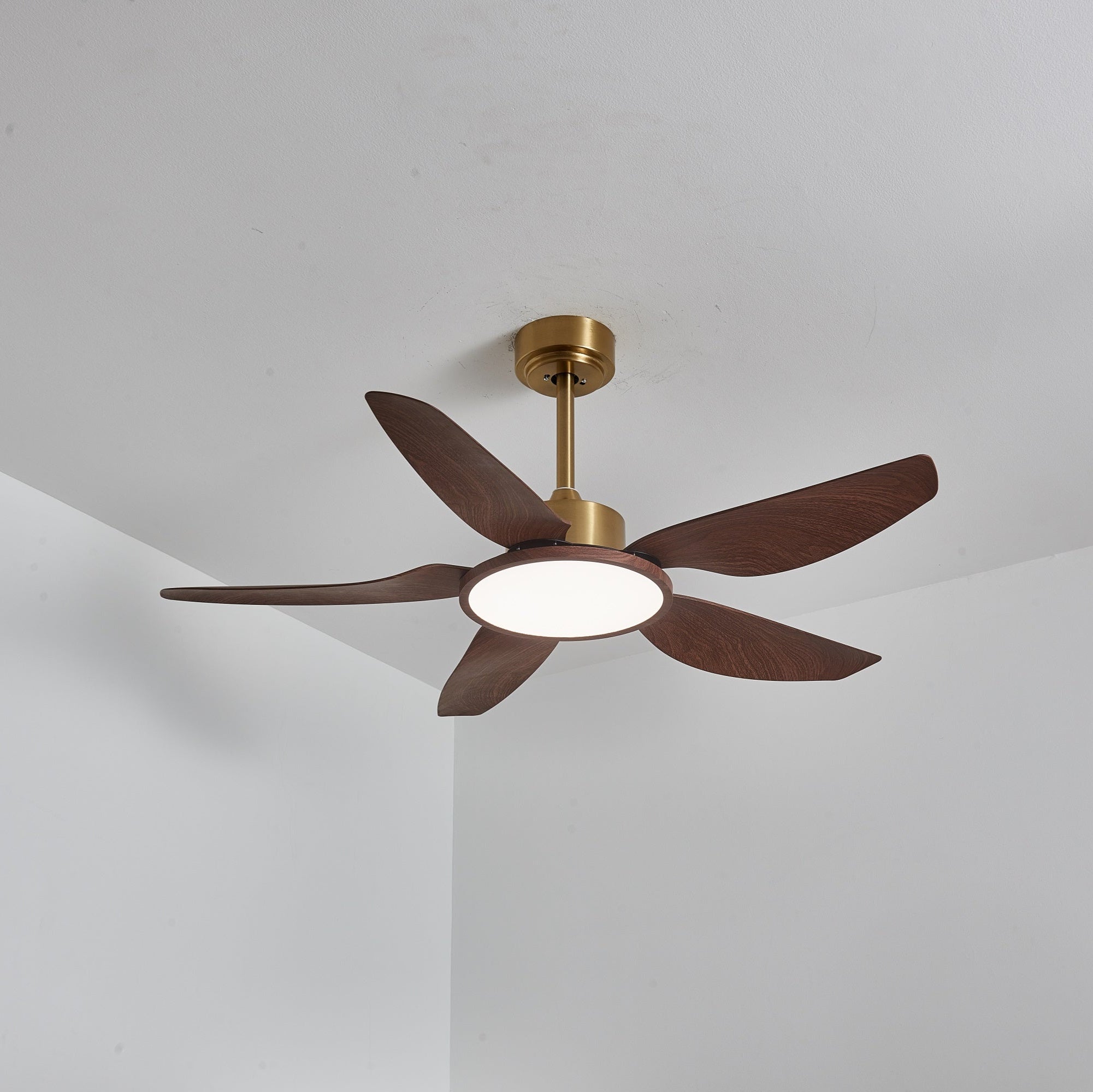 Vue de dessus du plafonnier ventilateur Aurelia