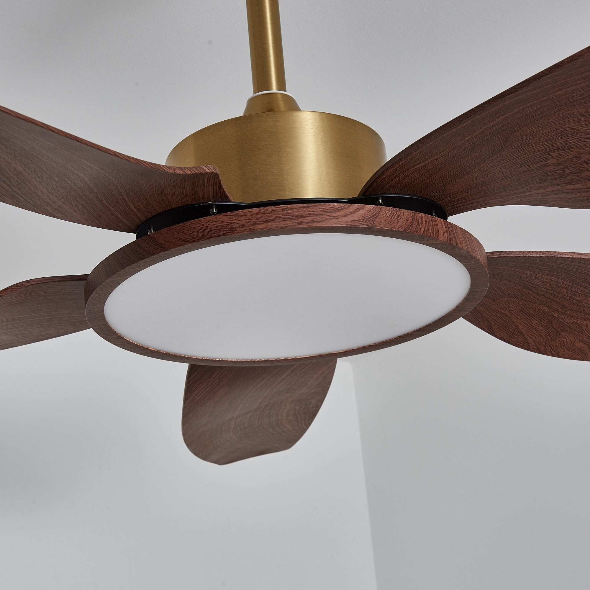 Plafonnier ventilateur Aurelia allumé, illuminant la pièce