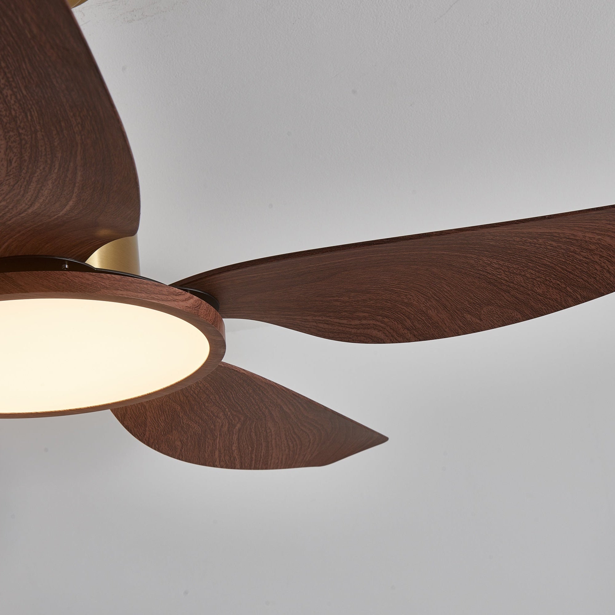 Plafonnier ventilateur Aurelia avec pales en mouvement