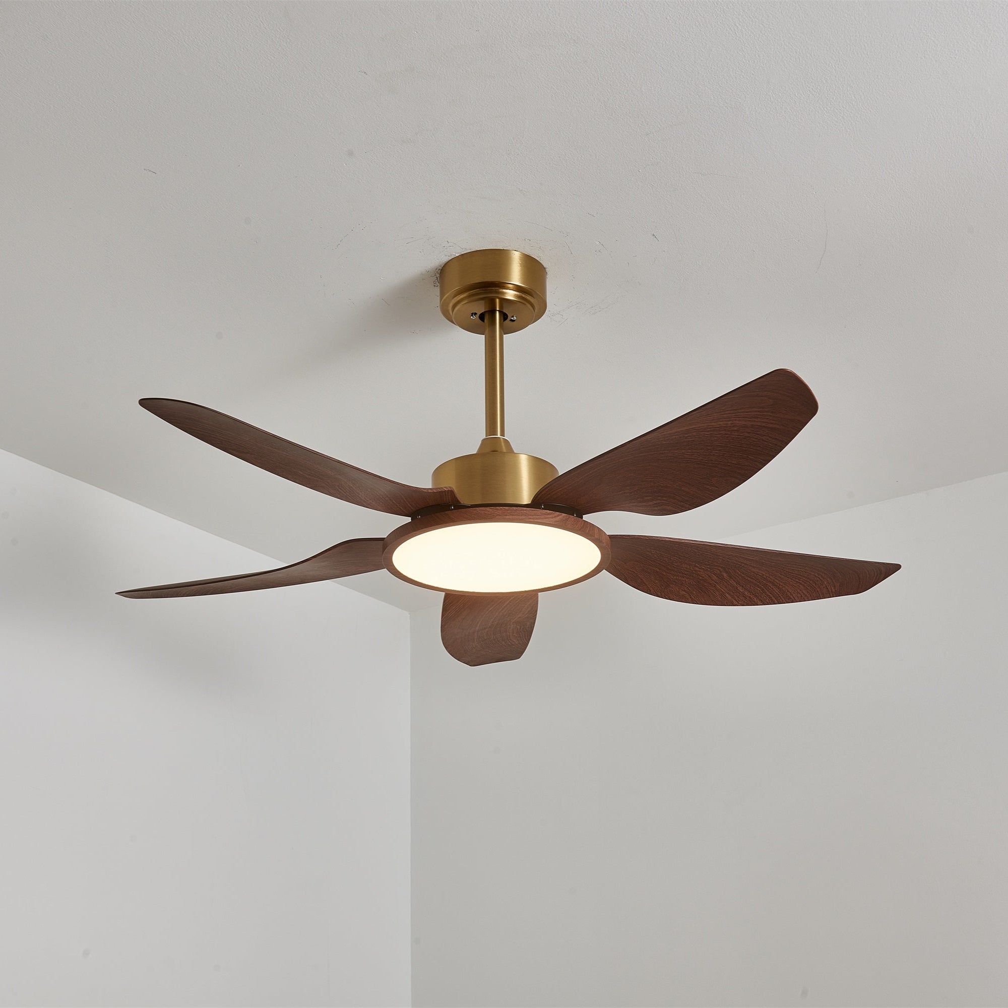 Plafonnier ventilateur Aurelia vu d'un angle inférieur