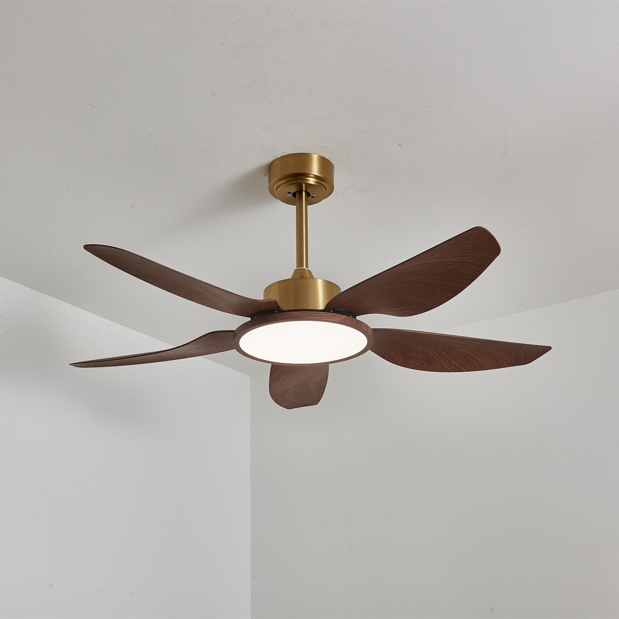 Plafonnier ventilateur Aurelia présentant son esthétique minimaliste